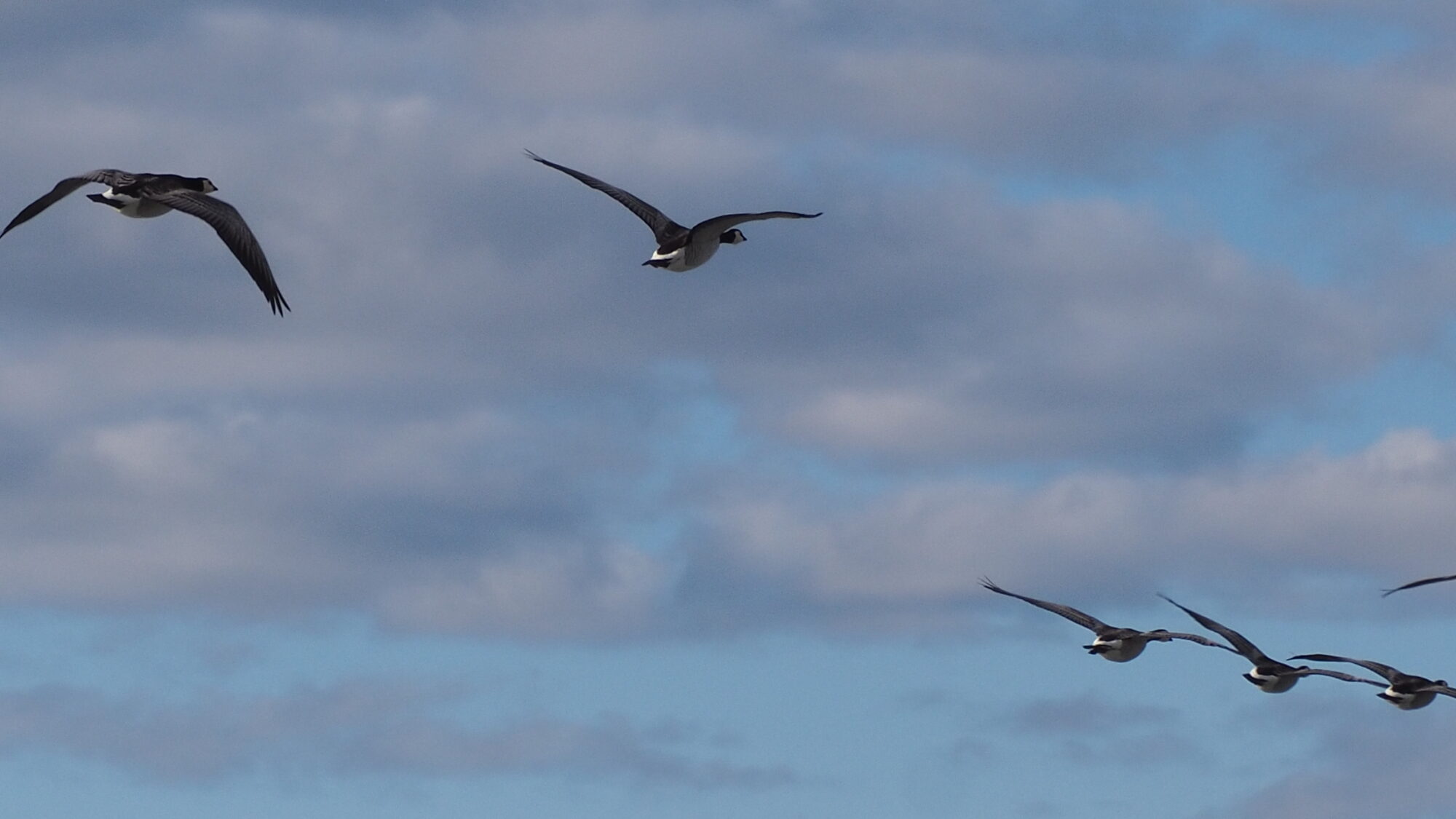 Valokuvaaja: Martti Valtonen