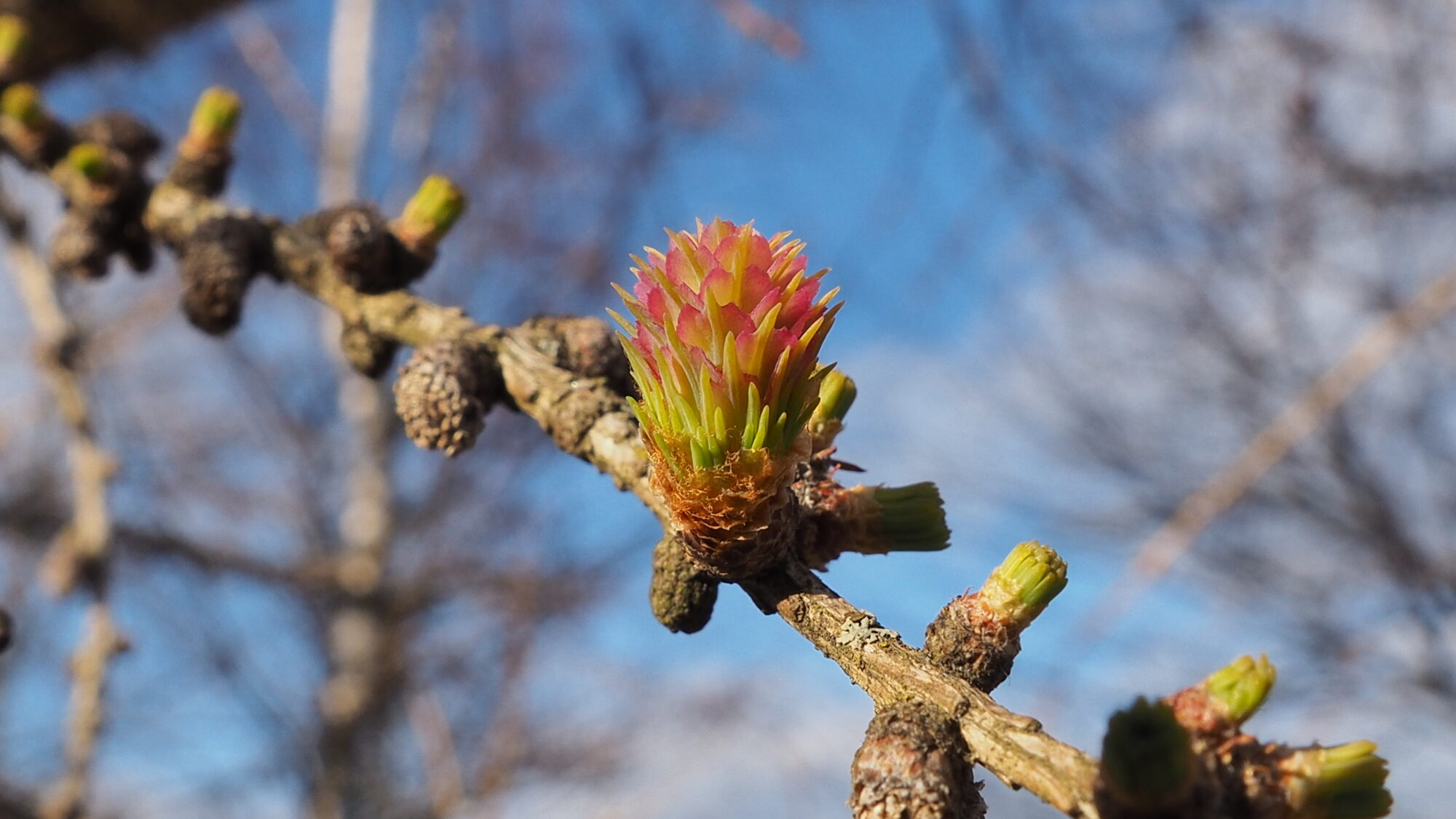 Valokuvaaja: Martti Valtonen