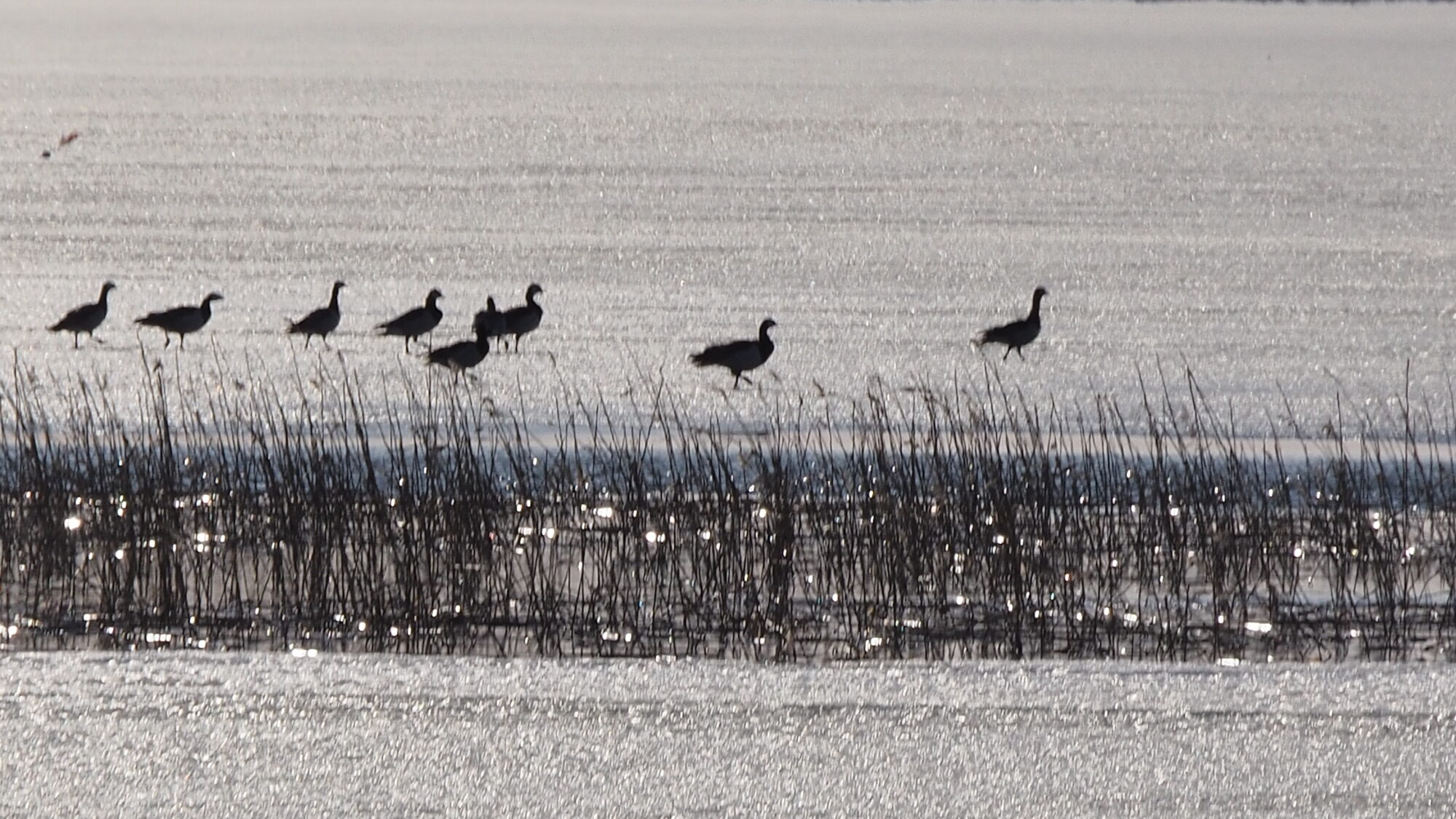 Valokuvaaja: Martti Valtonen