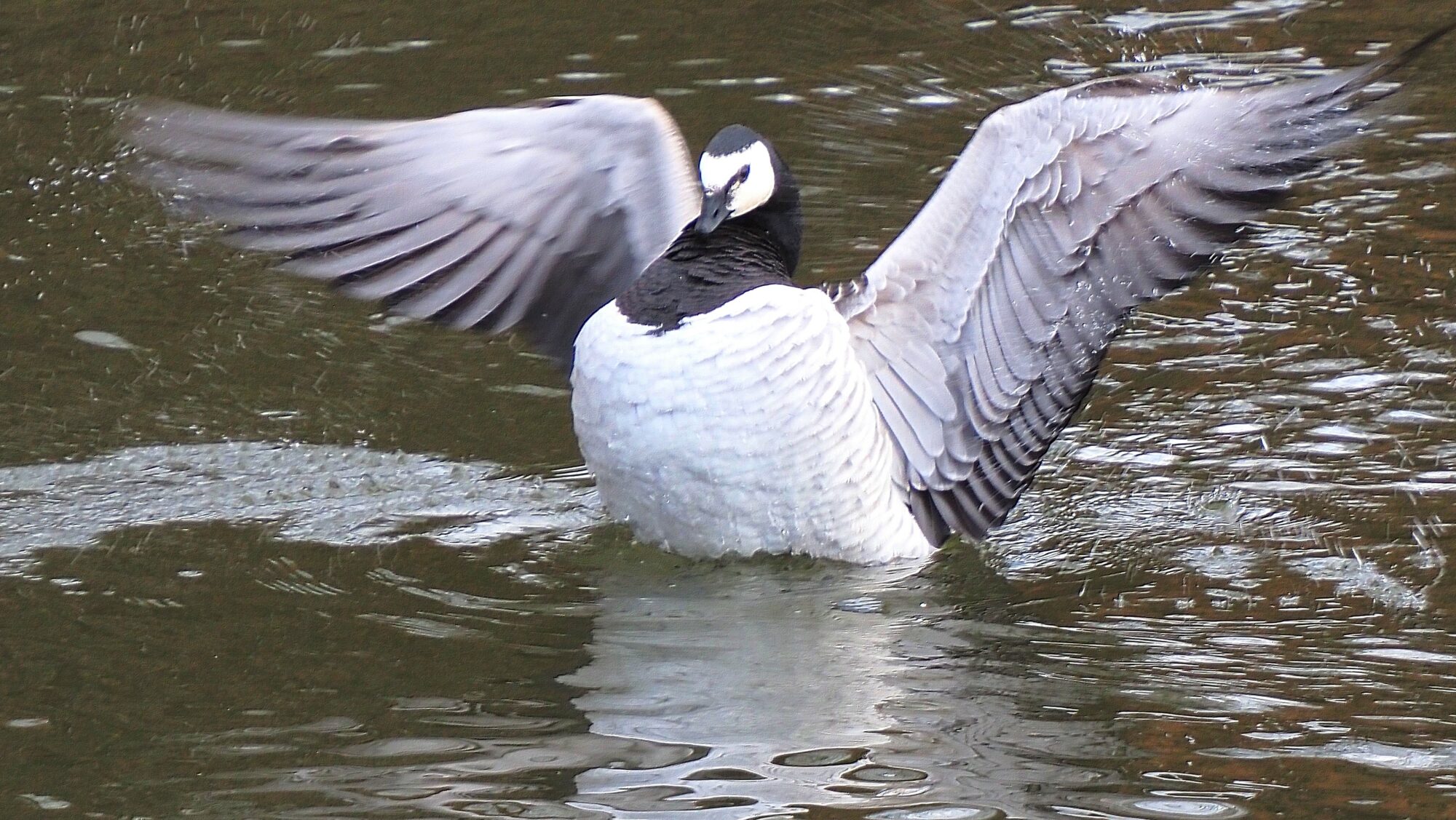 Valokuvaaja: Arja Valtonen