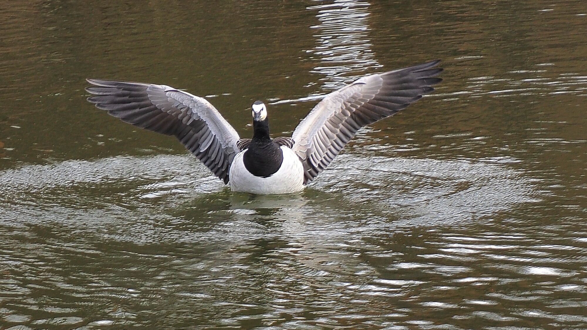 Valokuvaaja: Arja Valtonen