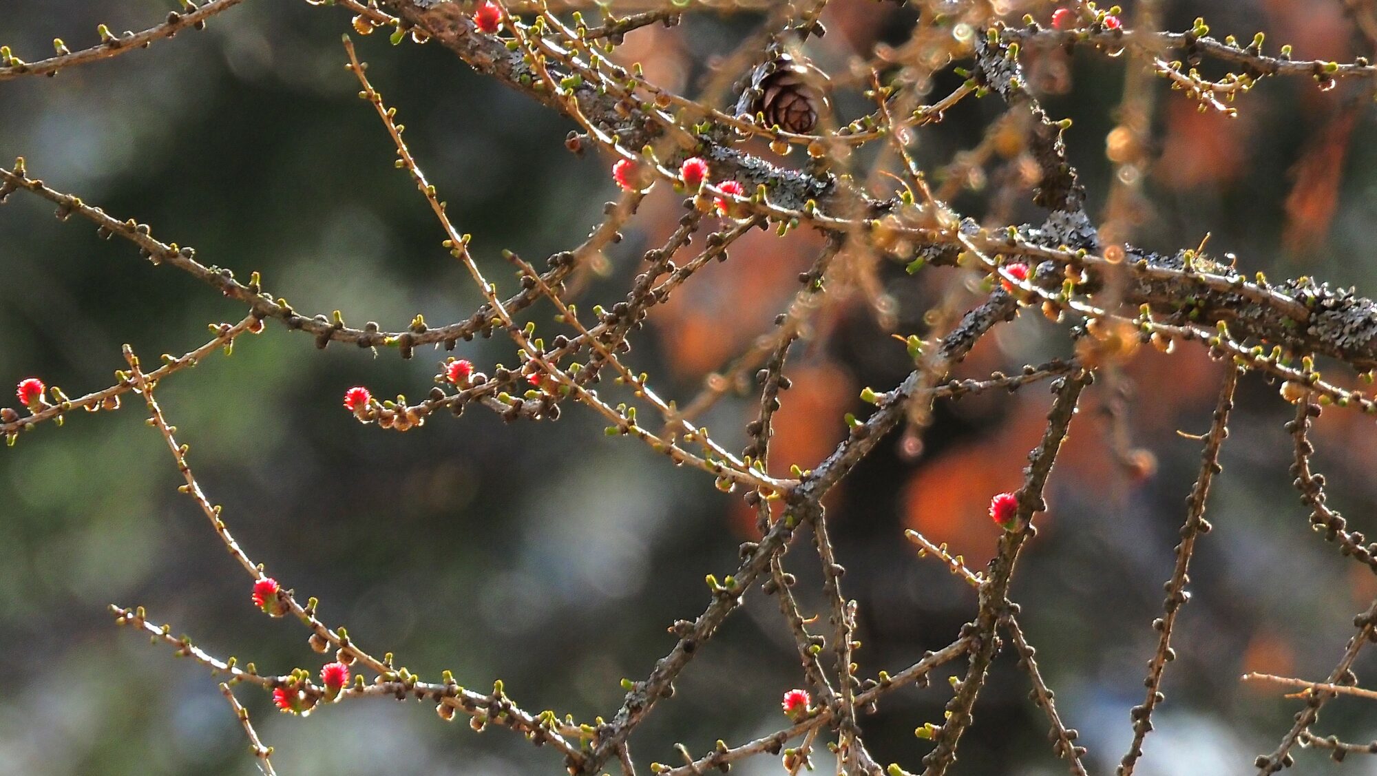 Valokuvaaja: Arja Valtonen