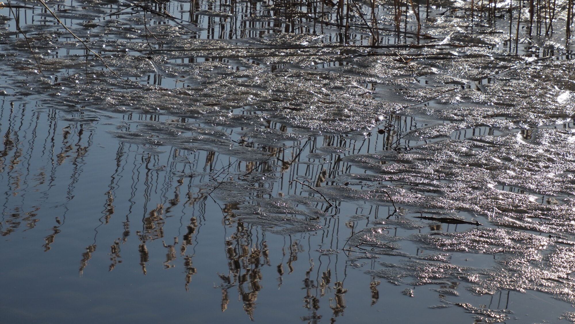 Valokuvaaja: Arja Valtonen