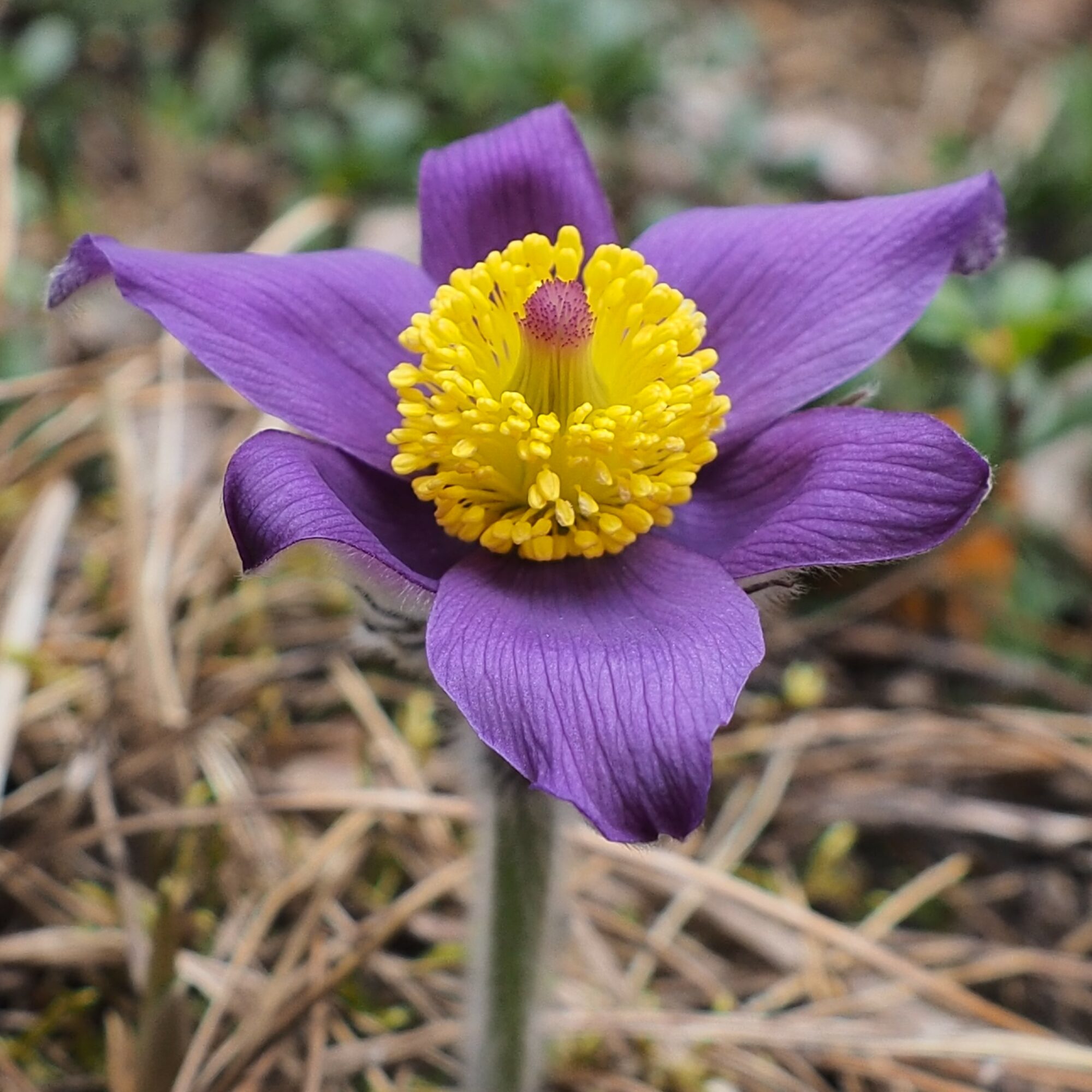 Valokuvaaja: Martti Valtonen