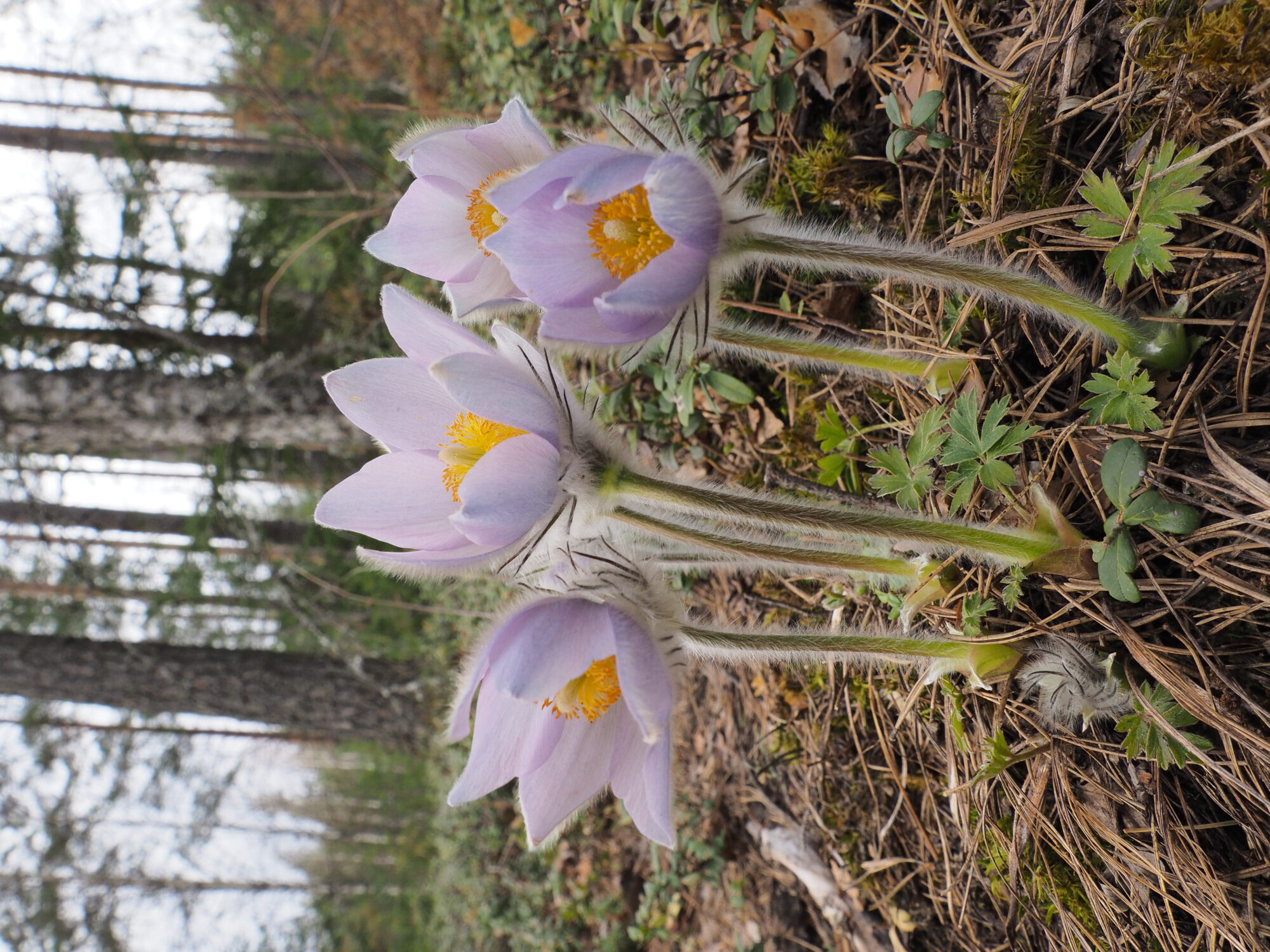 Valokuvaaja: Martti Valtonen