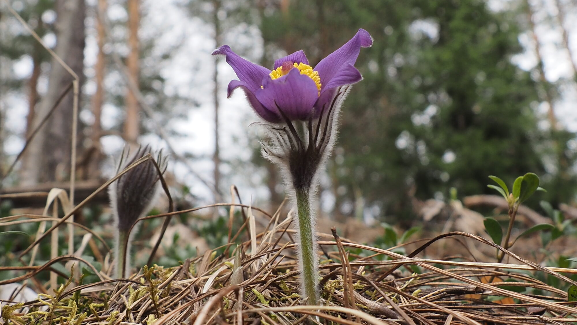 Valokuvaaja: Arja Valtonen