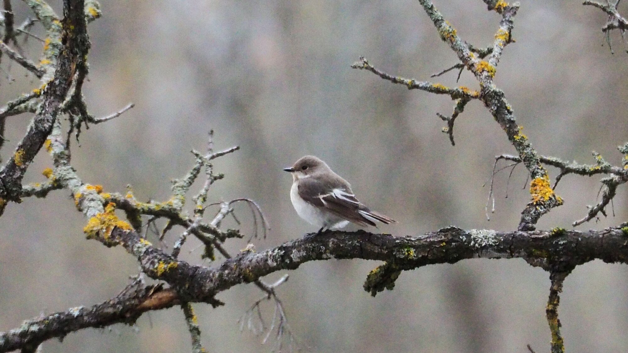 Valokuvaaja: Martti Valtonen
