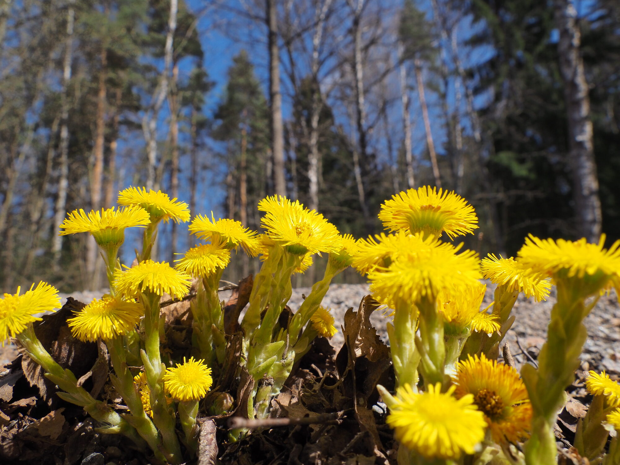 Valokuvaaja: Martti Valtonen