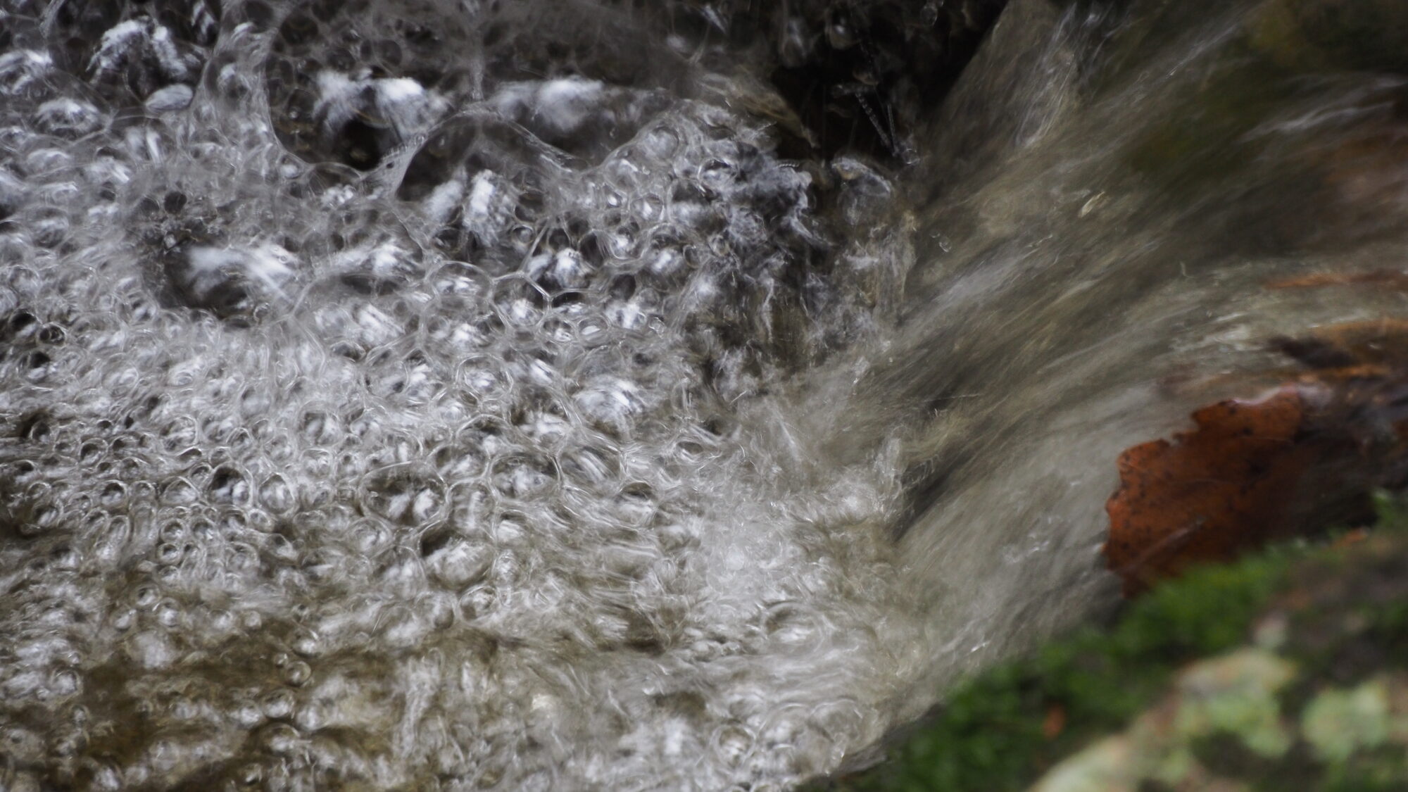 Valokuvaaja: Martti Valtonen