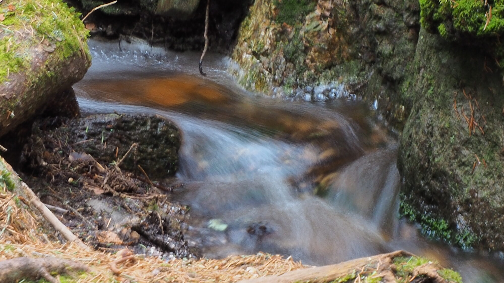 Valokuvaaja: Martti Valtonen