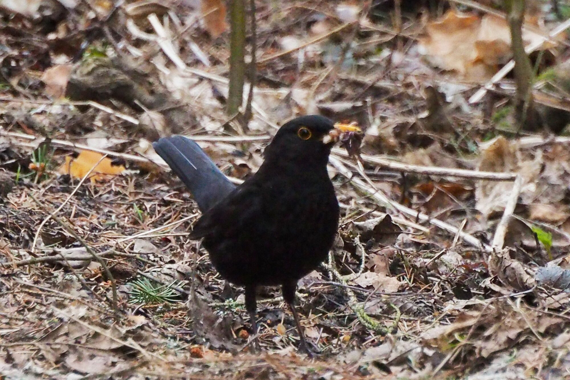 Valokuvaaja: Martti Valtonen