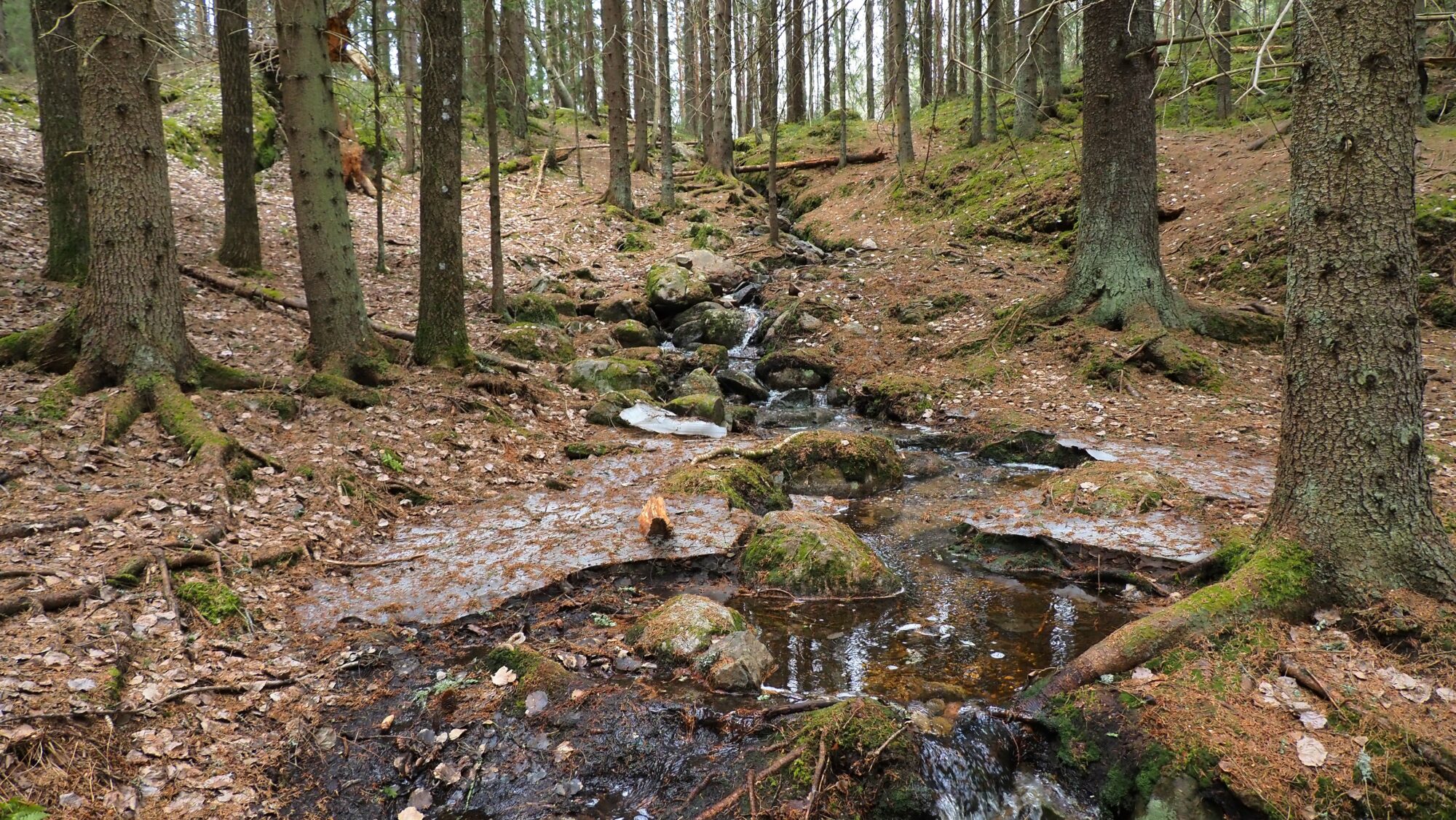 Valokuvaaja: Arja Valtonen