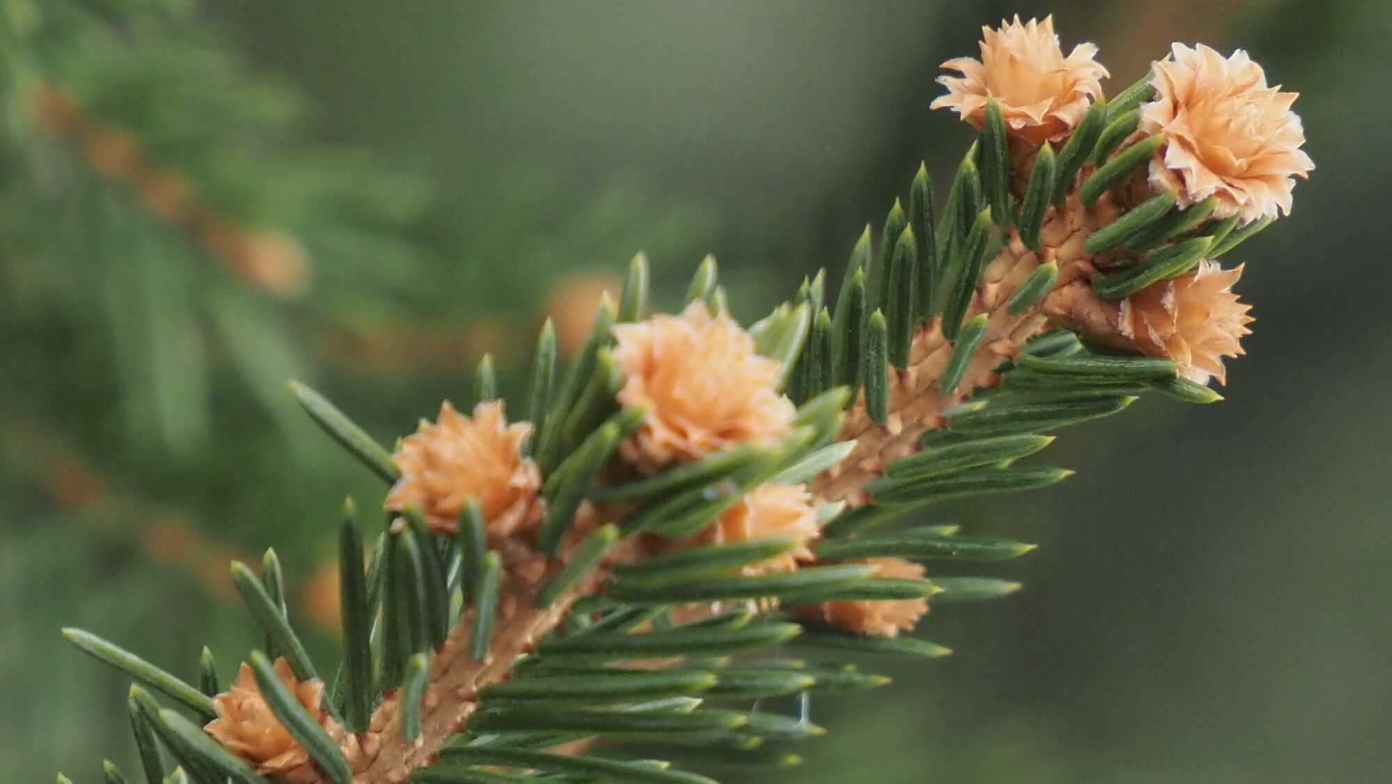 Valokuvaaja: Arja Valtonen