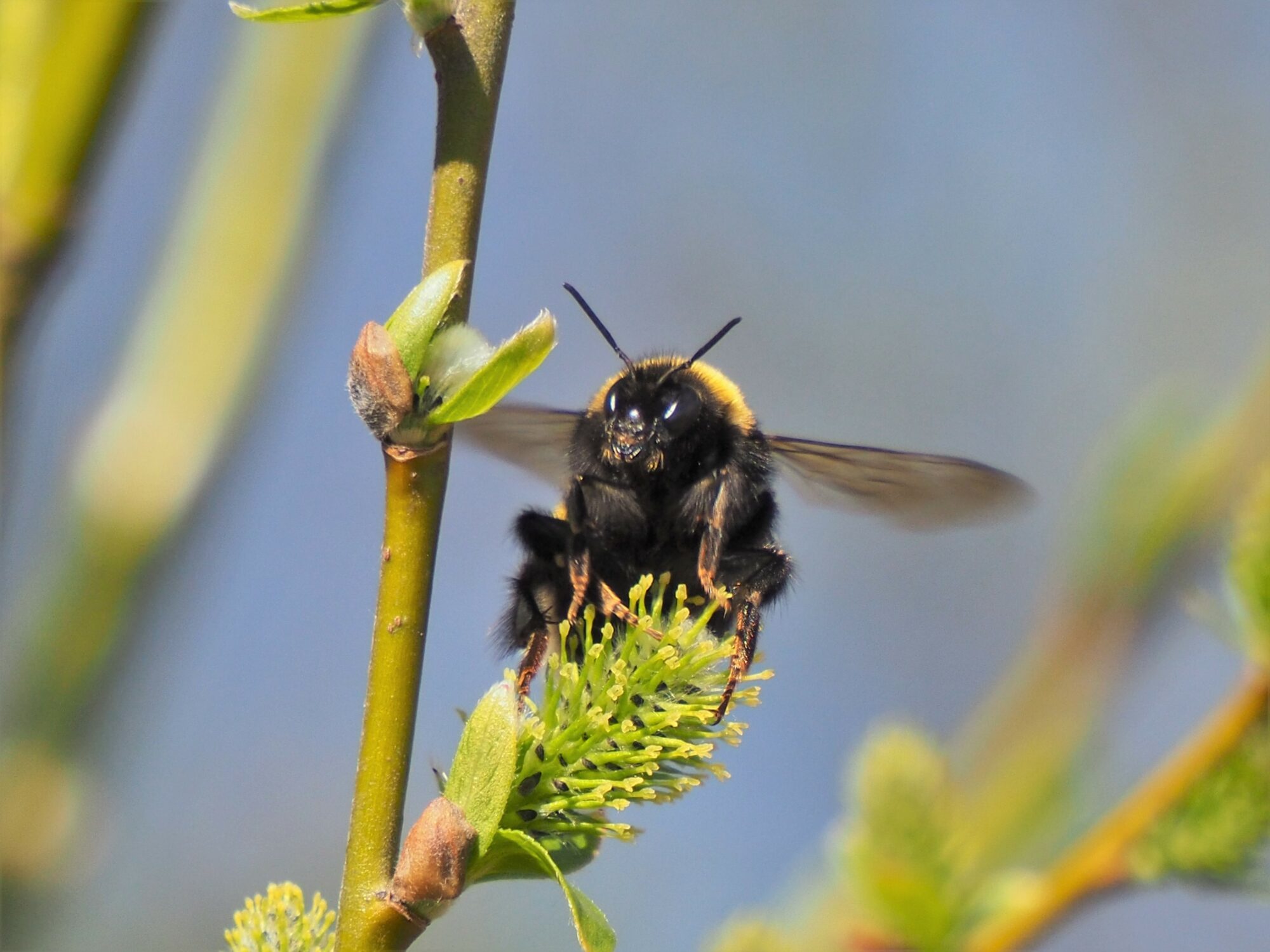 Valokuvaaja: Martti Valtonen Valokuvaaja: Martti Valtonen