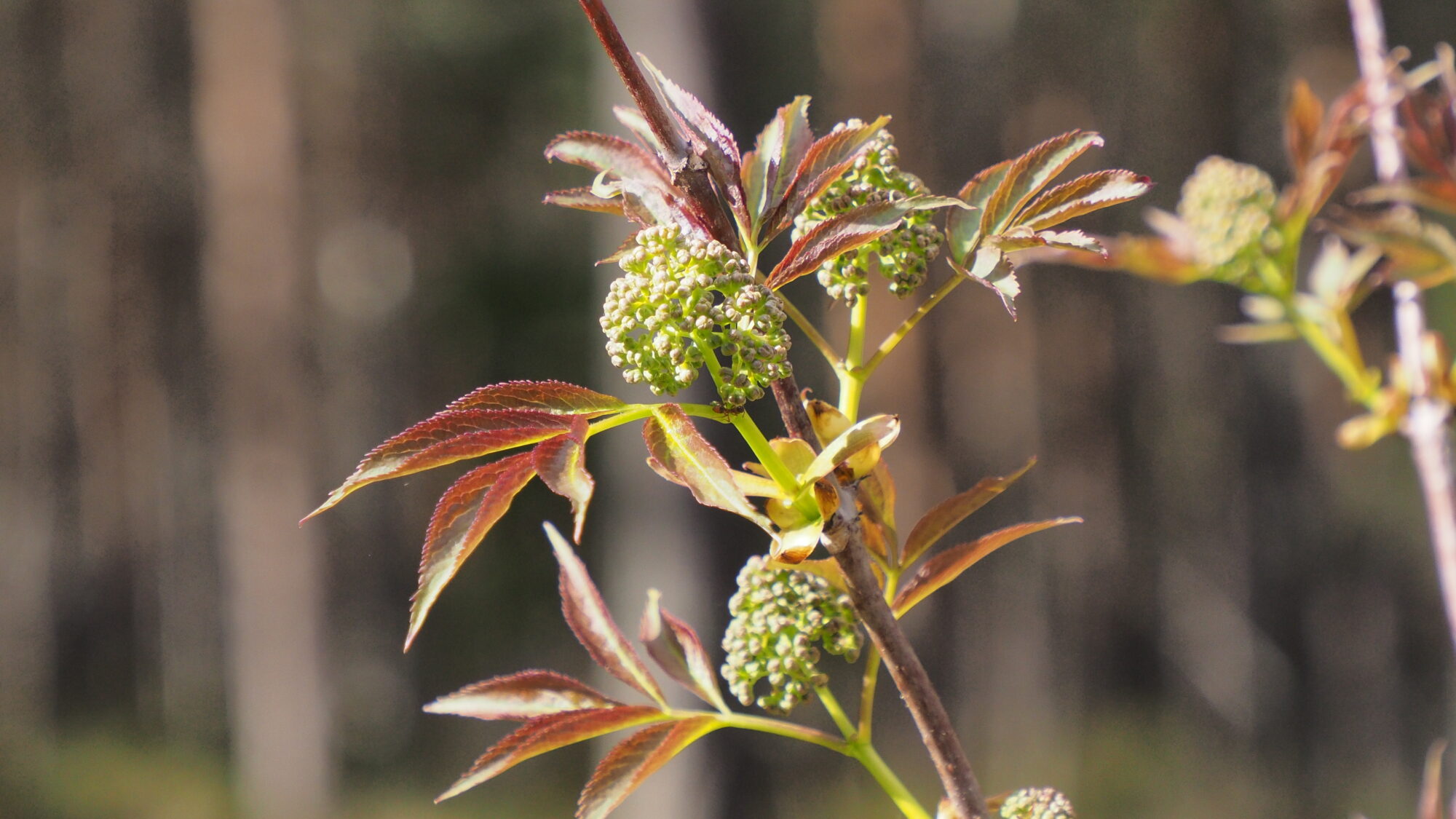 Valokuvaaja: Martti Valtonen