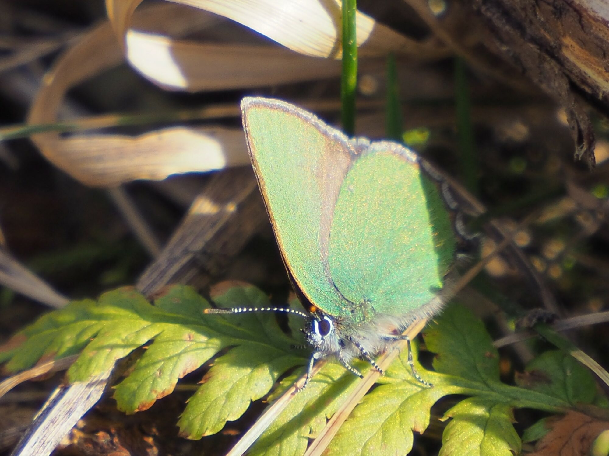 Valokuvaaja: Martti Valtonen