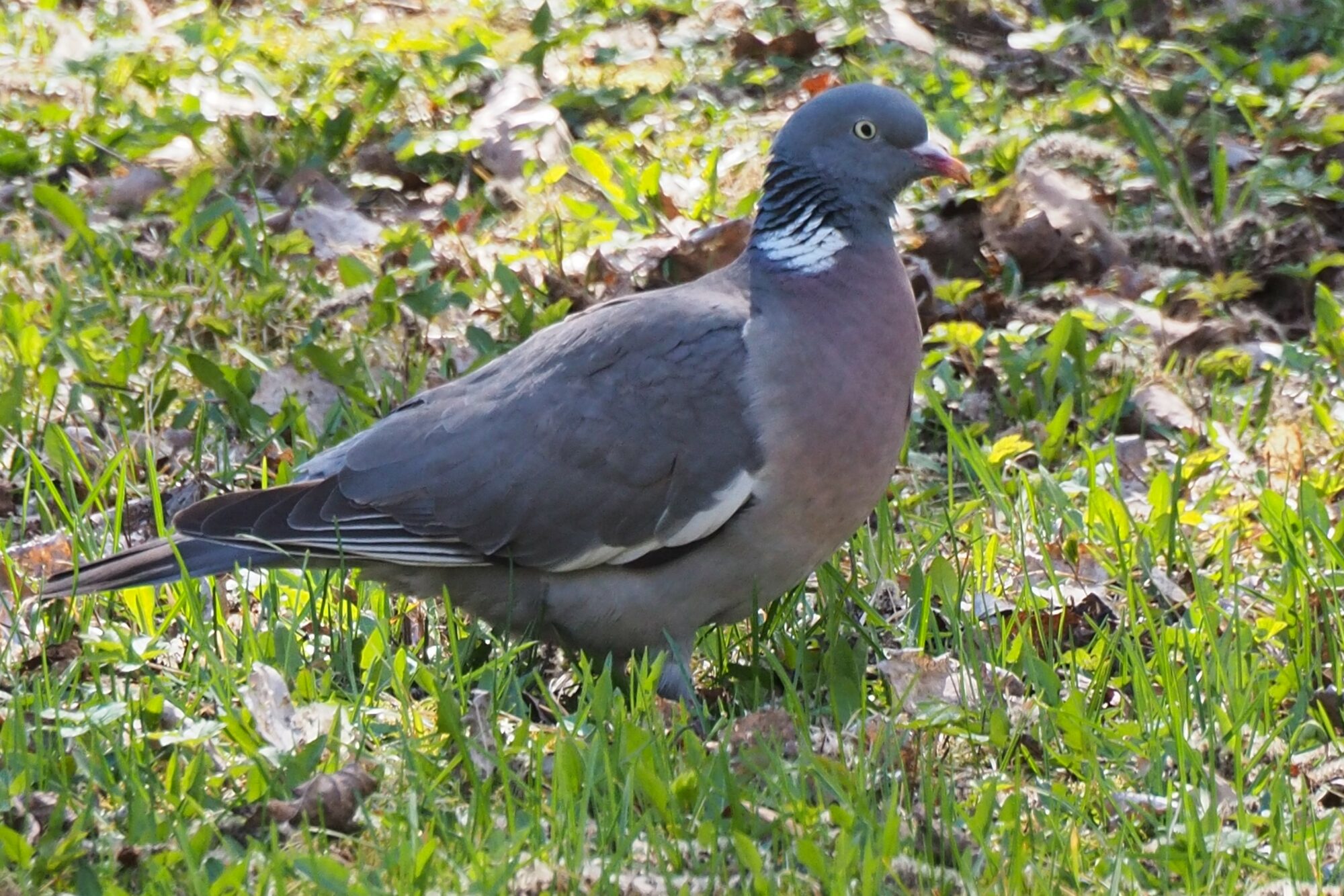 Valokuvaaja: Martti Valtonen
