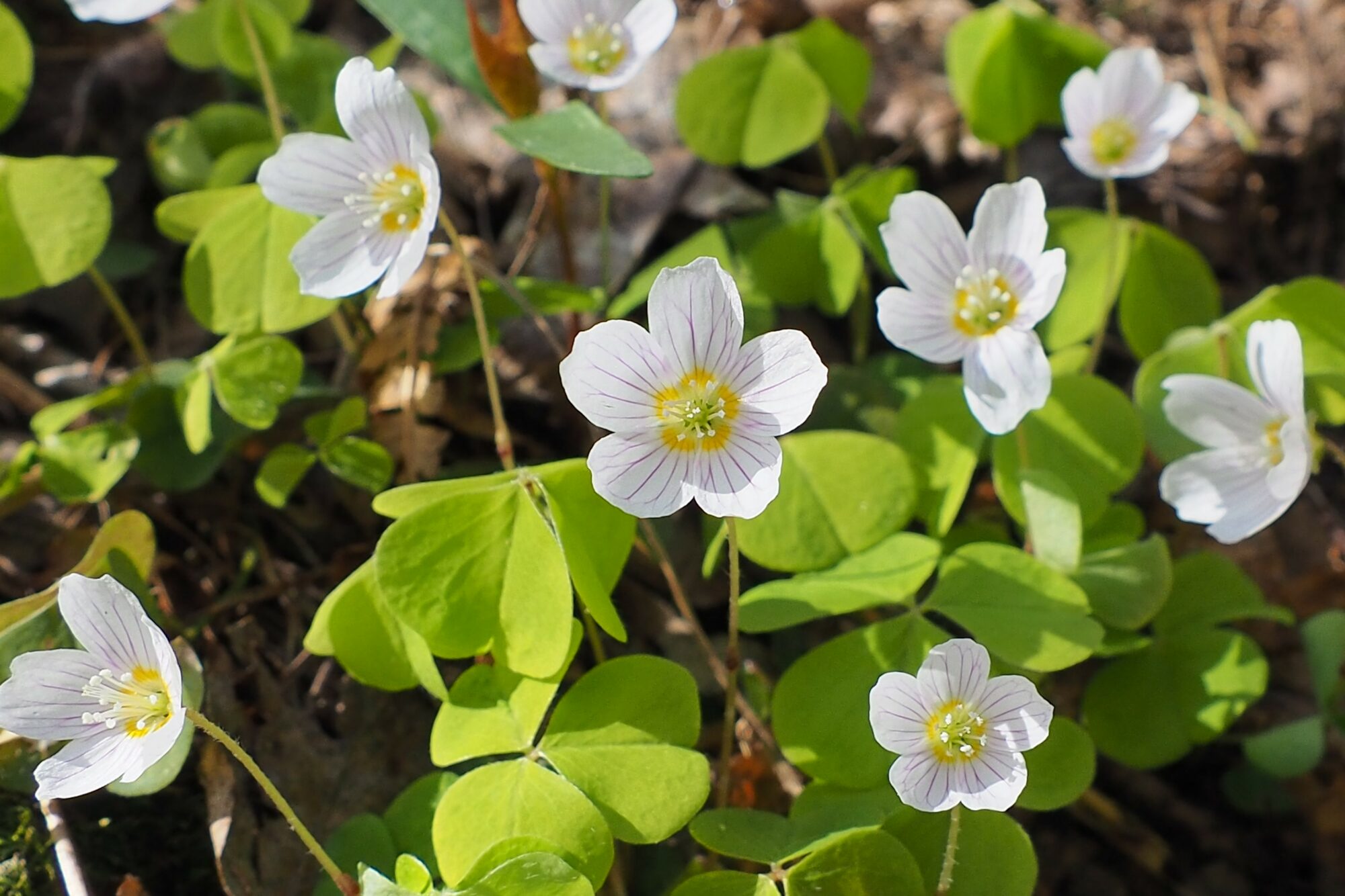 Valokuvaaja: Martti Valtonen