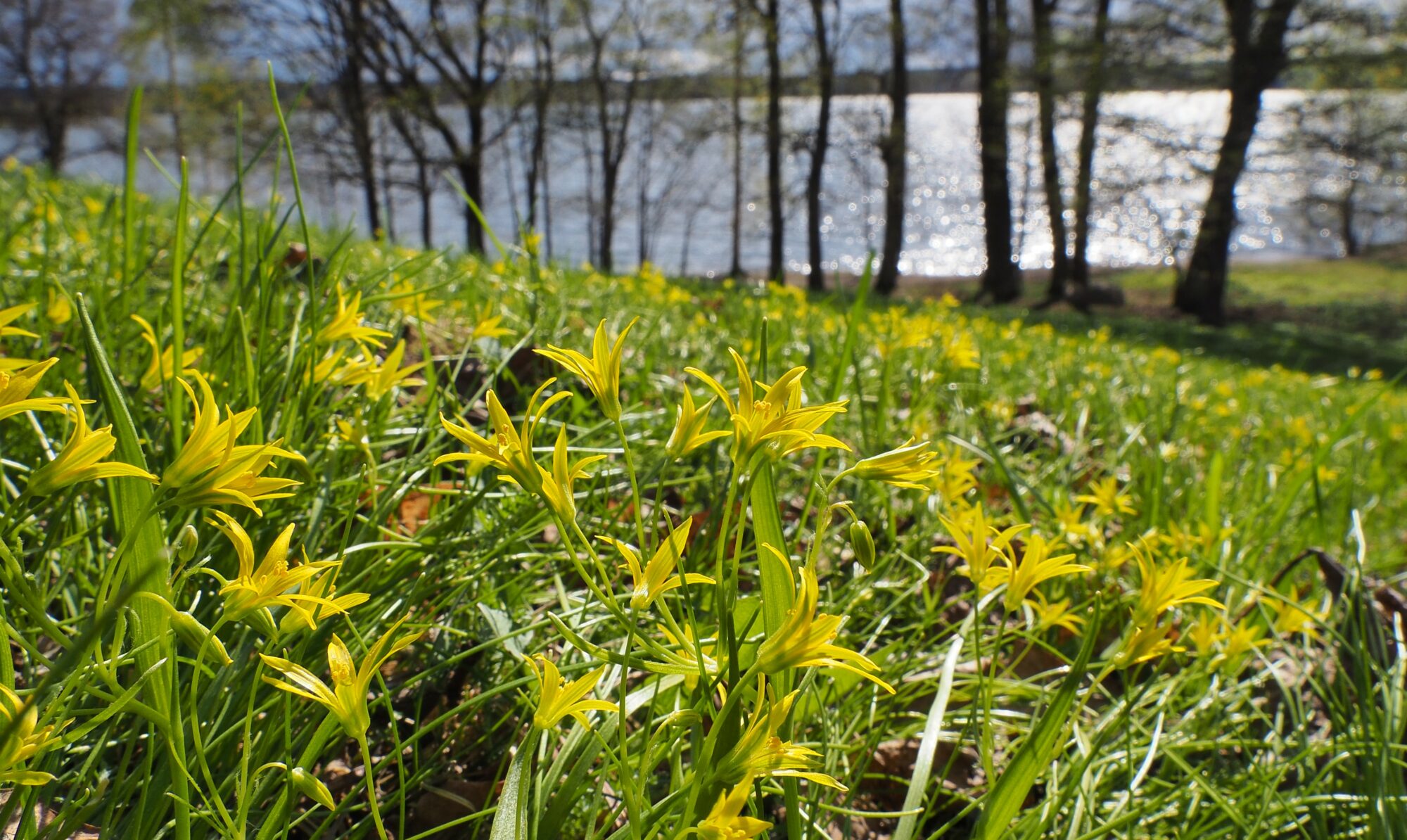 Valokuvaaja: Martti Valtonen