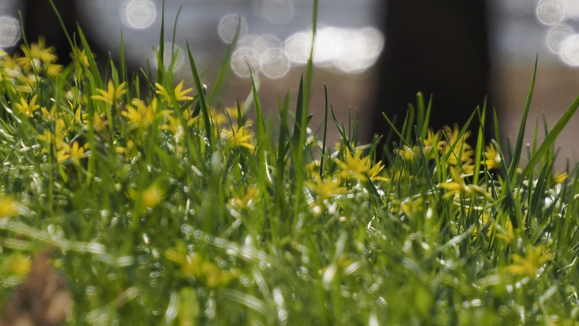 Valokuvaaja: Arja Valtonen