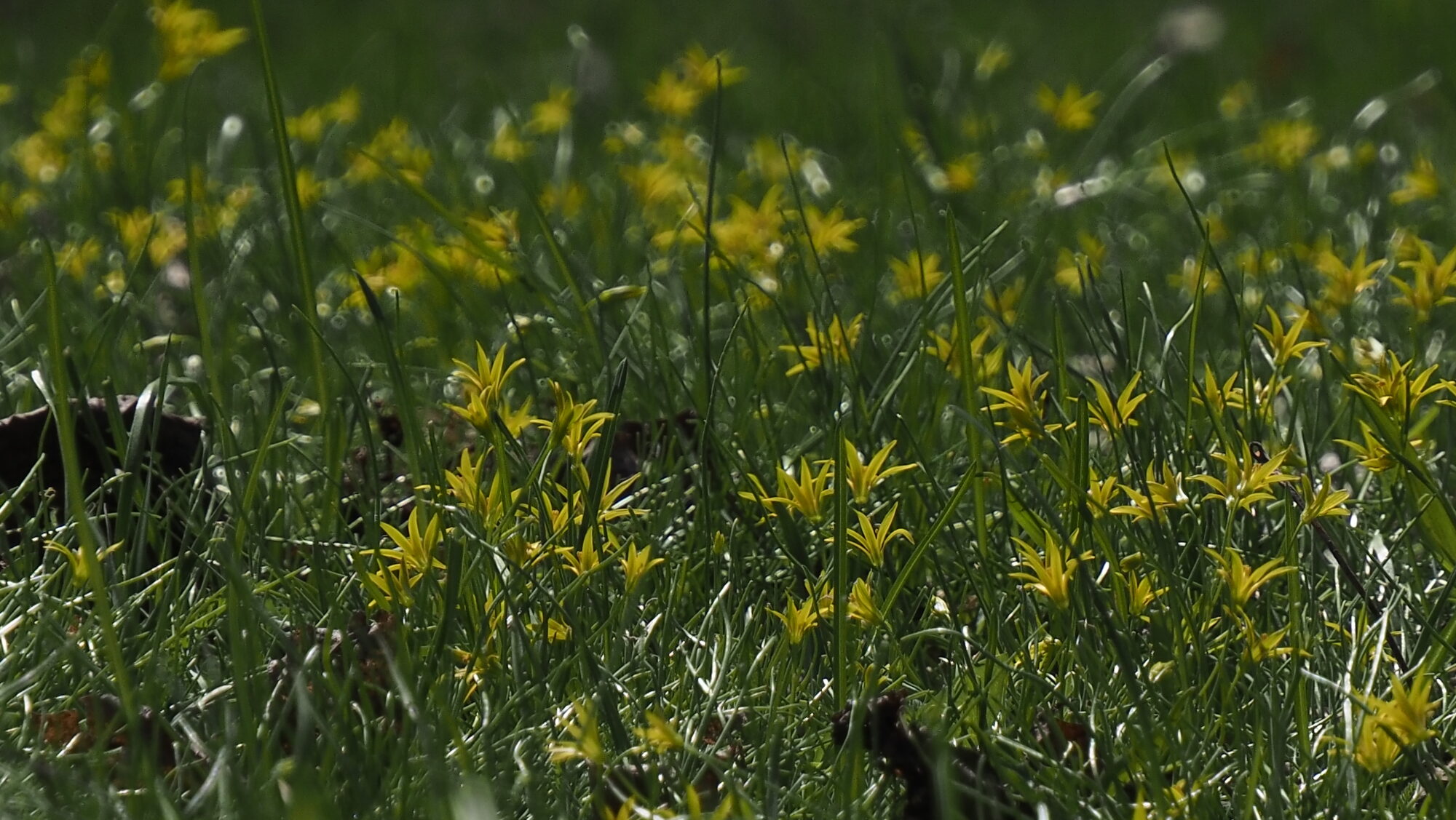 Valokuvaaja: Arja Valtonen