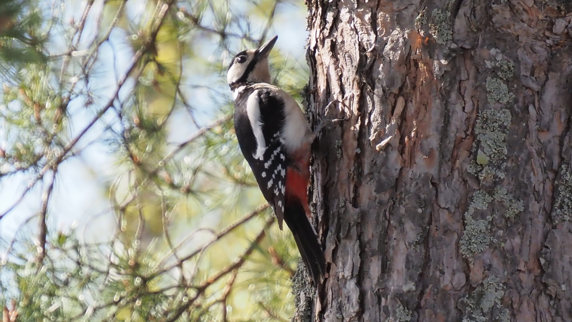 Valokuvaaja: Arja Valtonen
