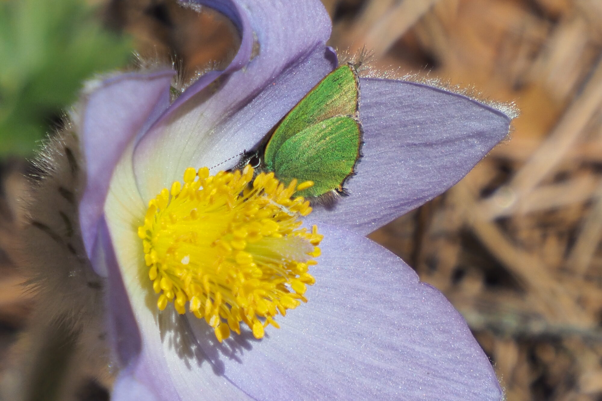 Valokuvaaja: Martti Valtonen