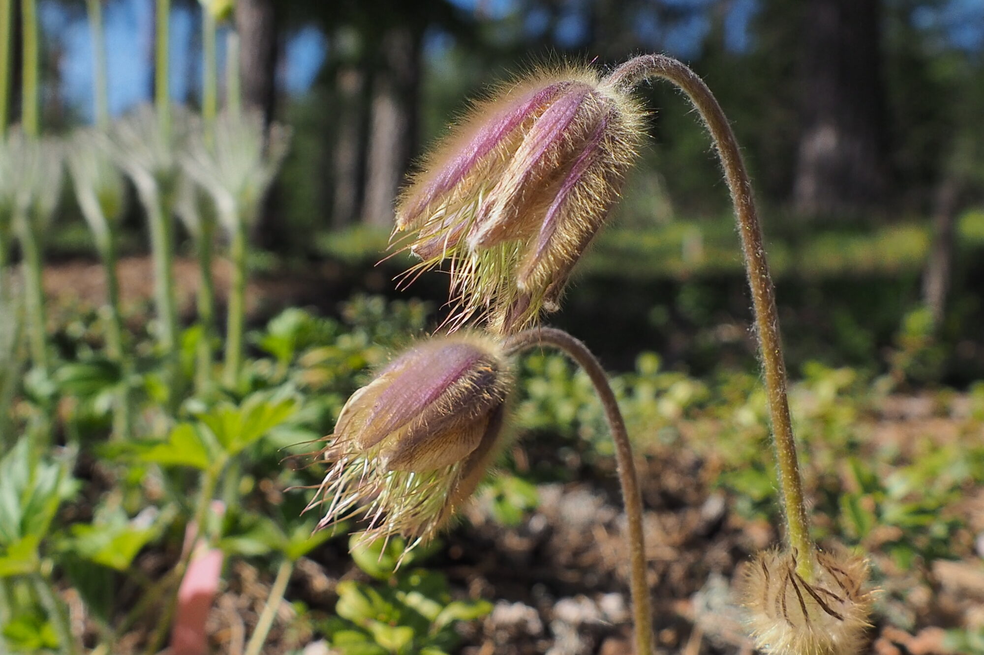 Valokuvaaja: Martti Valtonen