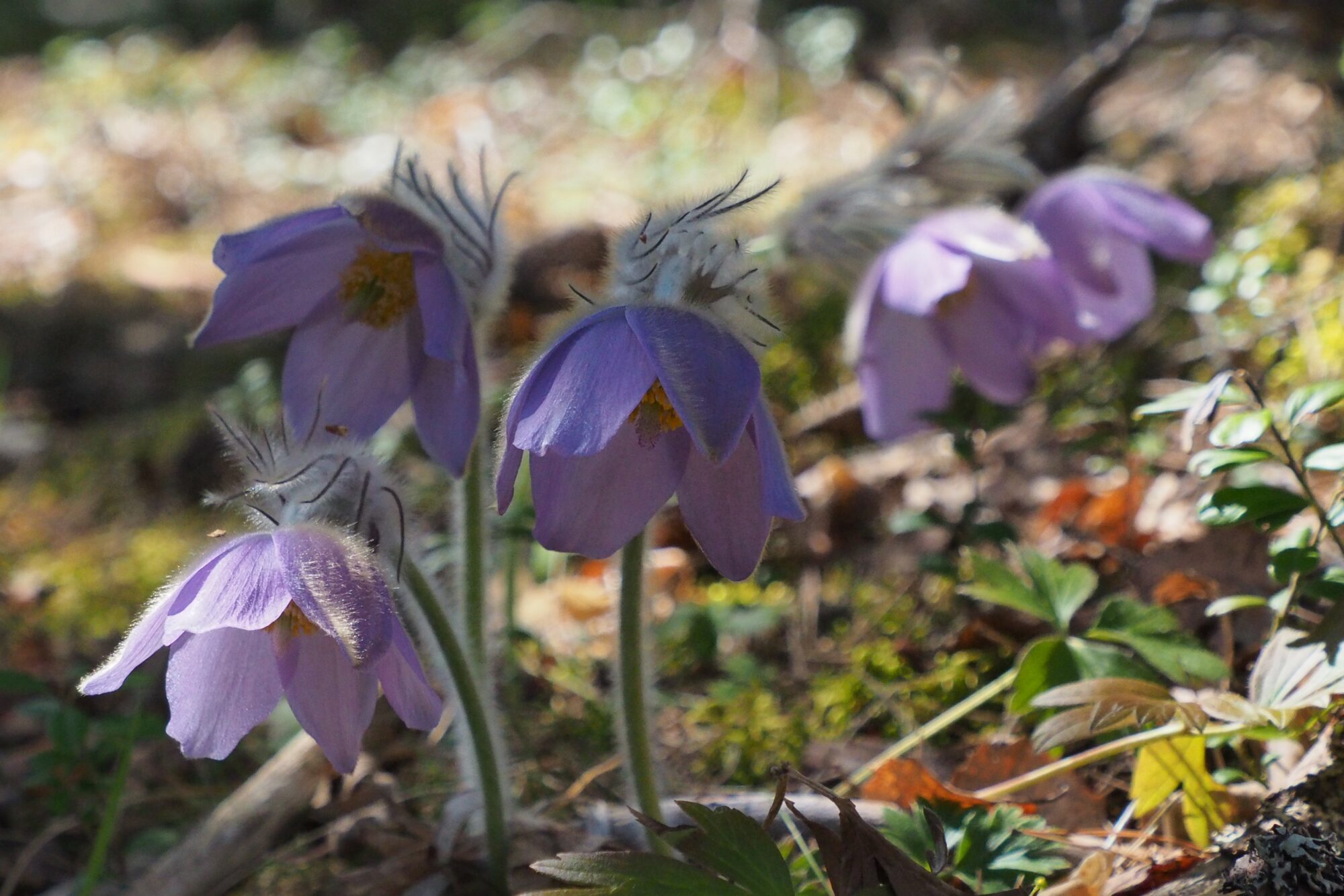Valokuvaaja: Martti Valtonen