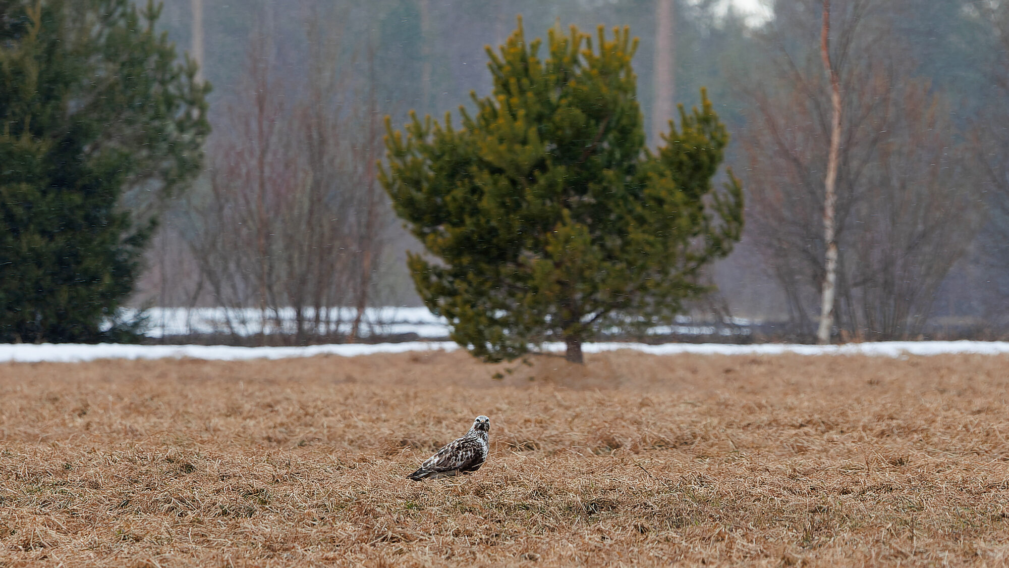 Valokuvaaja: Tommi Kujala