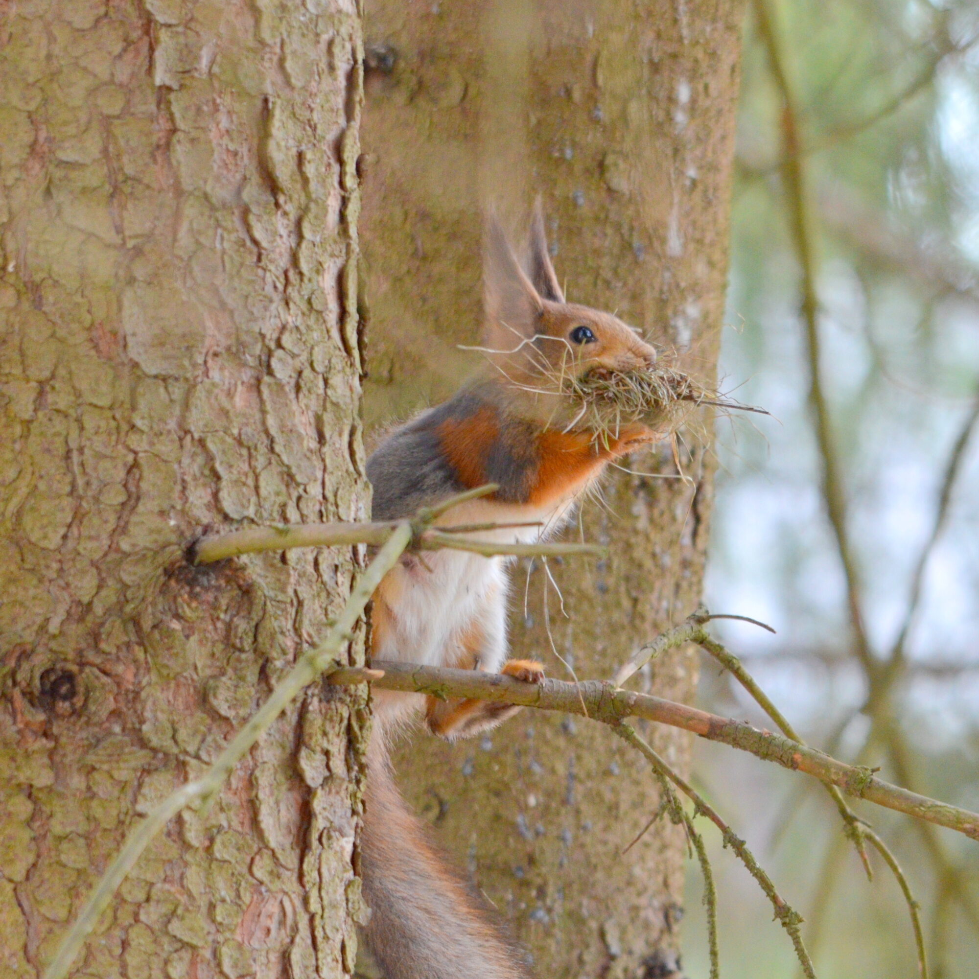 Valokuvaaja: Kaarlo Asikainen
