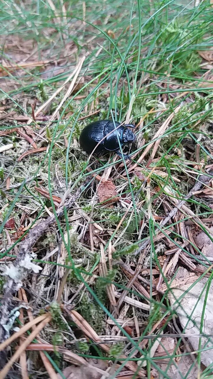 Valokuvaaja: Venla Pohjoisvirta