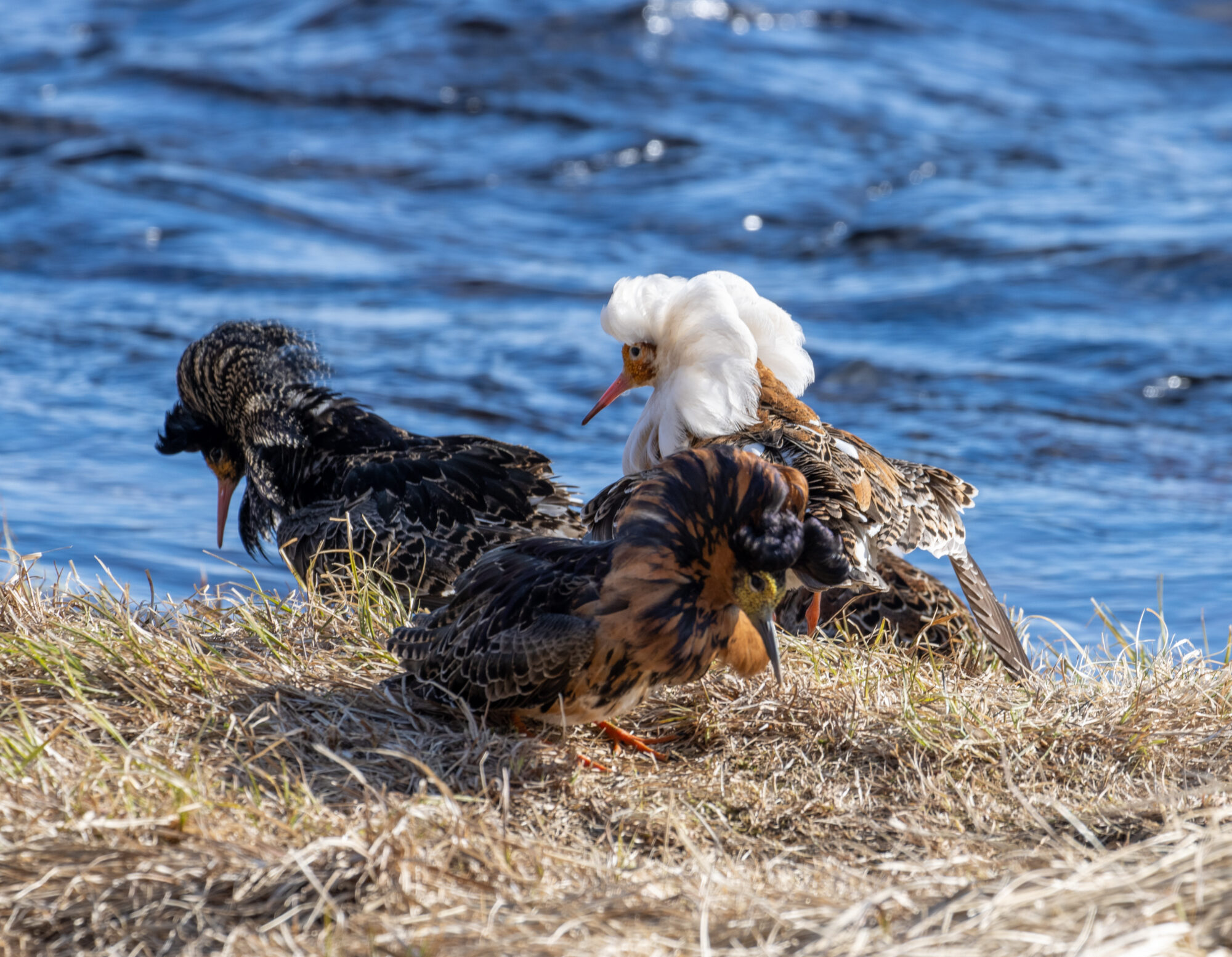 Valokuvaaja: Katri Niskanen Valokuvaaja: Katri Niskanen