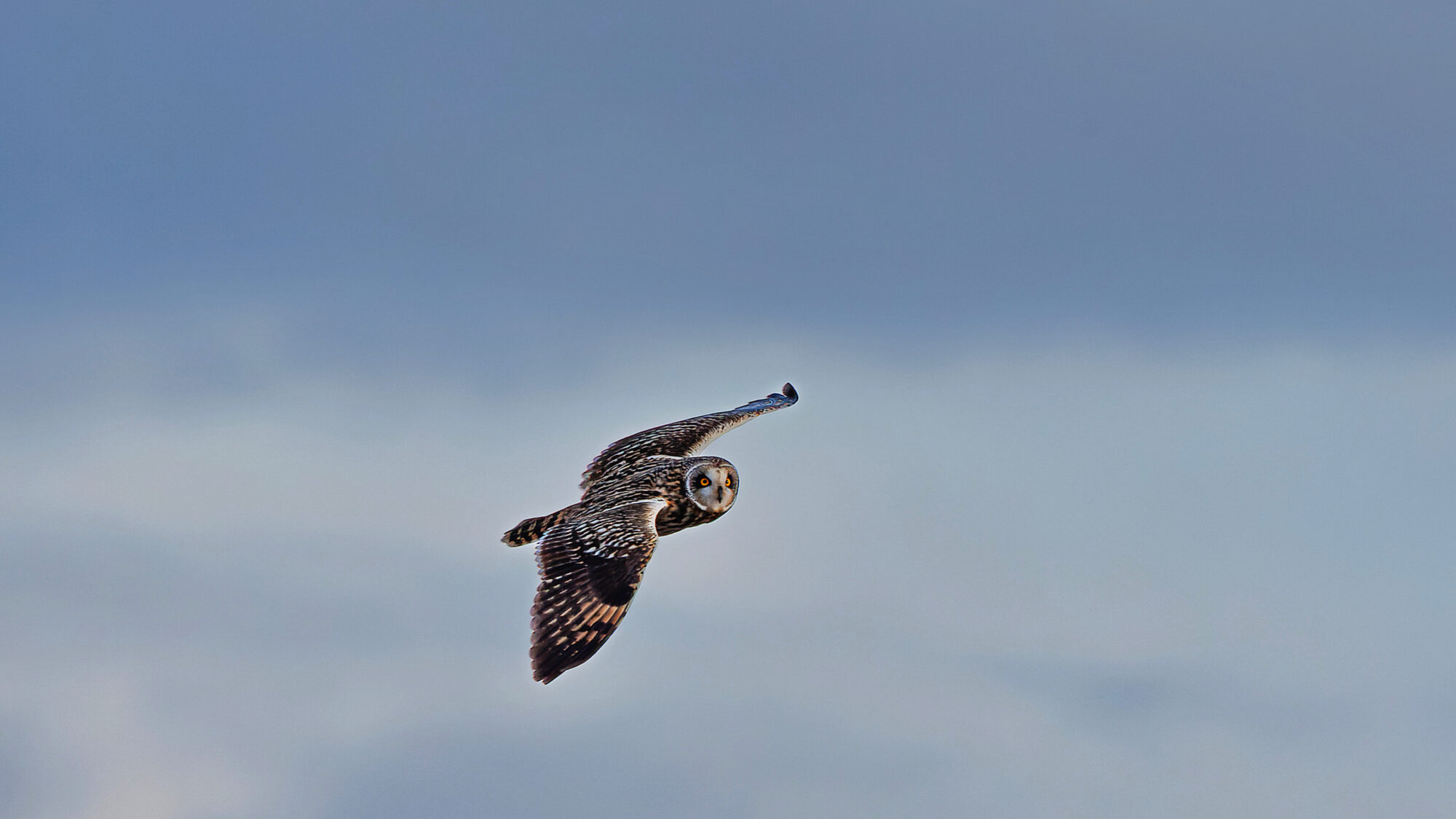 Valokuvaaja: Tommi Kujala