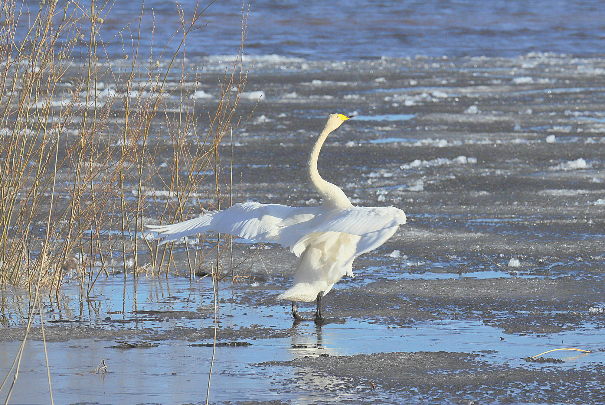 Valokuvaaja: sirpa jyske