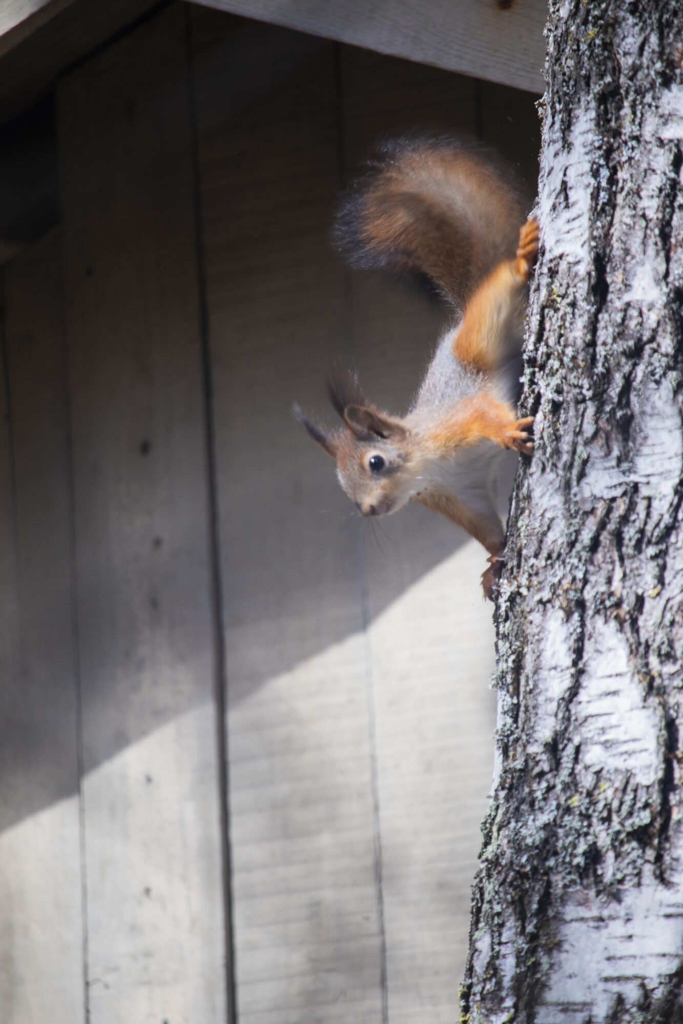 Valokuvaaja: Ida Leino