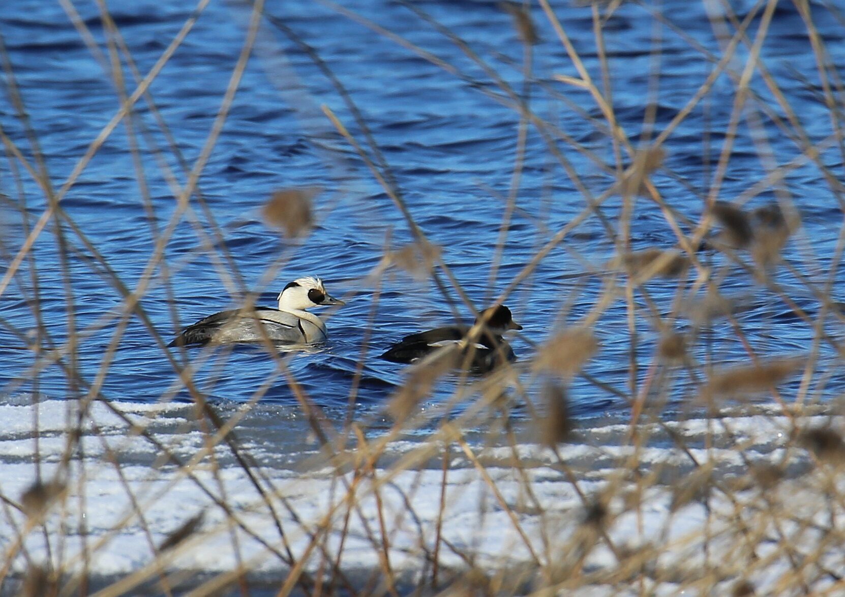 Valokuvaaja: Jaana Saarelainen