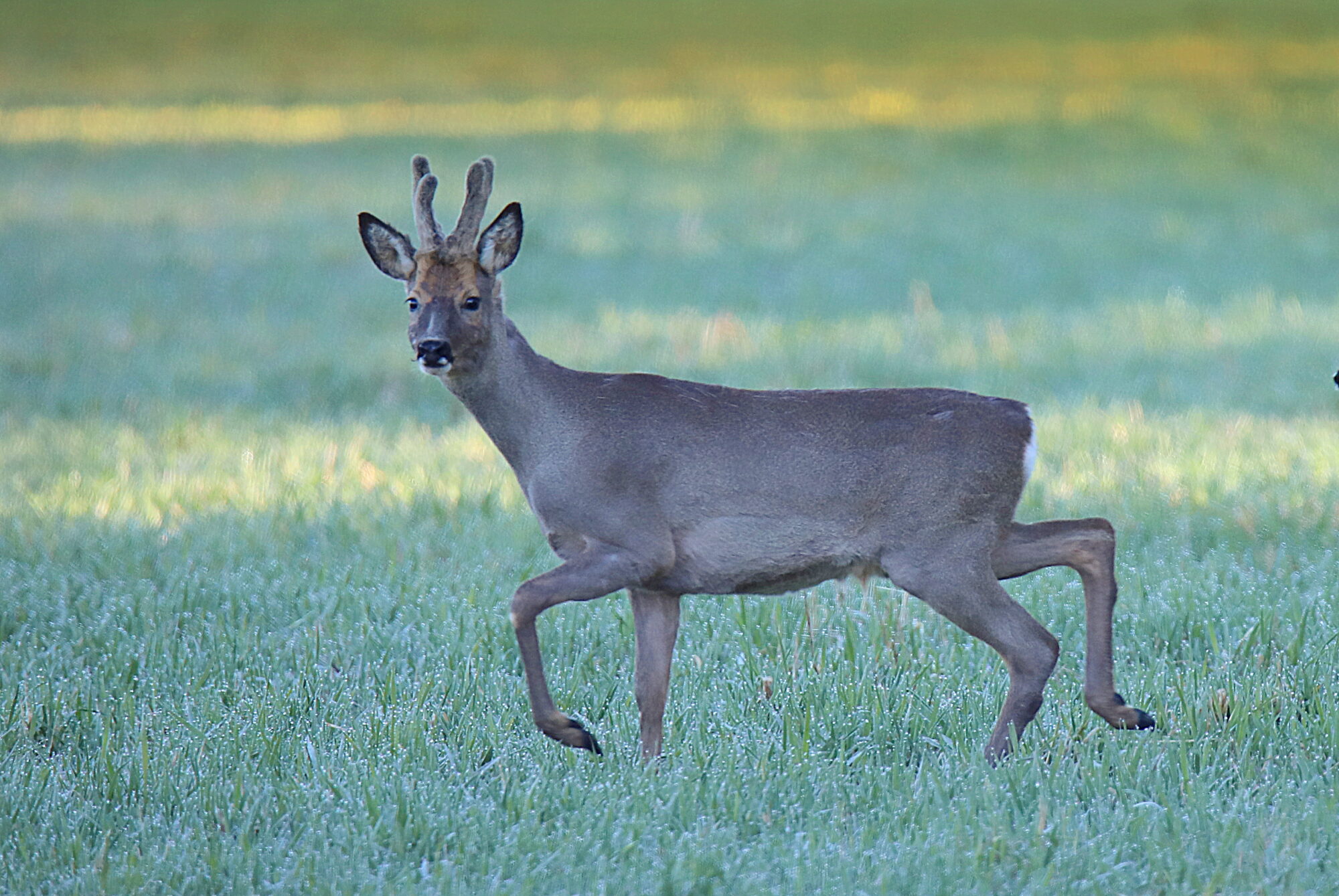 Valokuvaaja: sirpa jyske