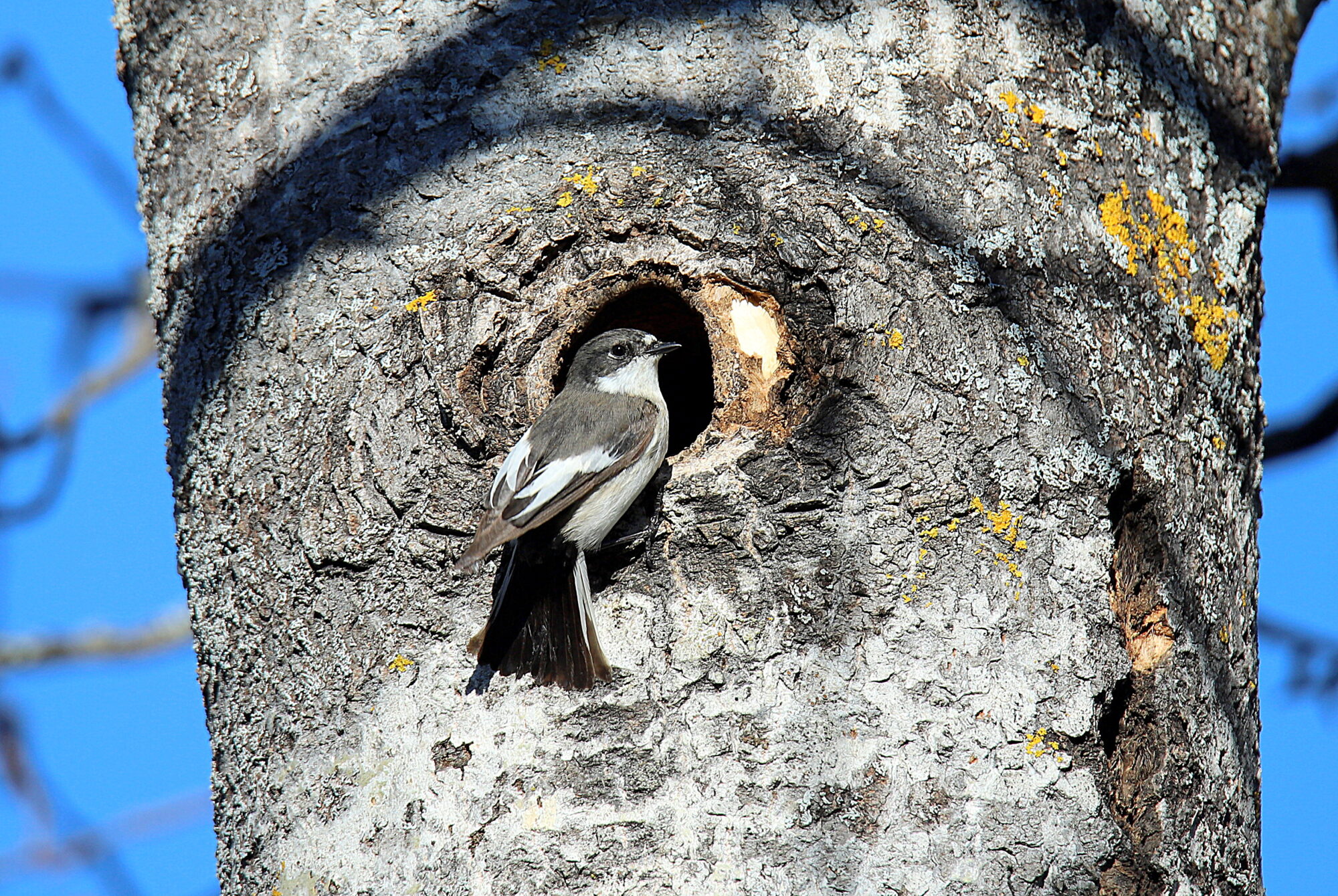 Valokuvaaja: sirpa jyske