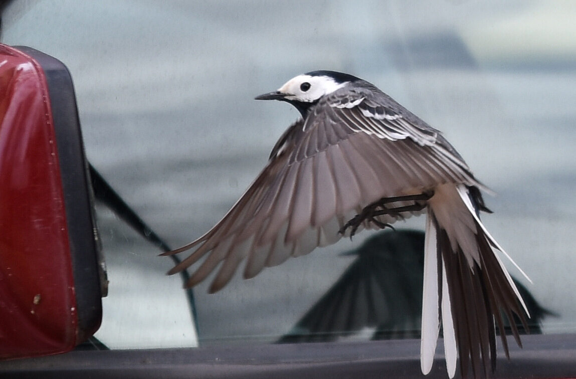 Valokuvaaja: Antti Kaskinen