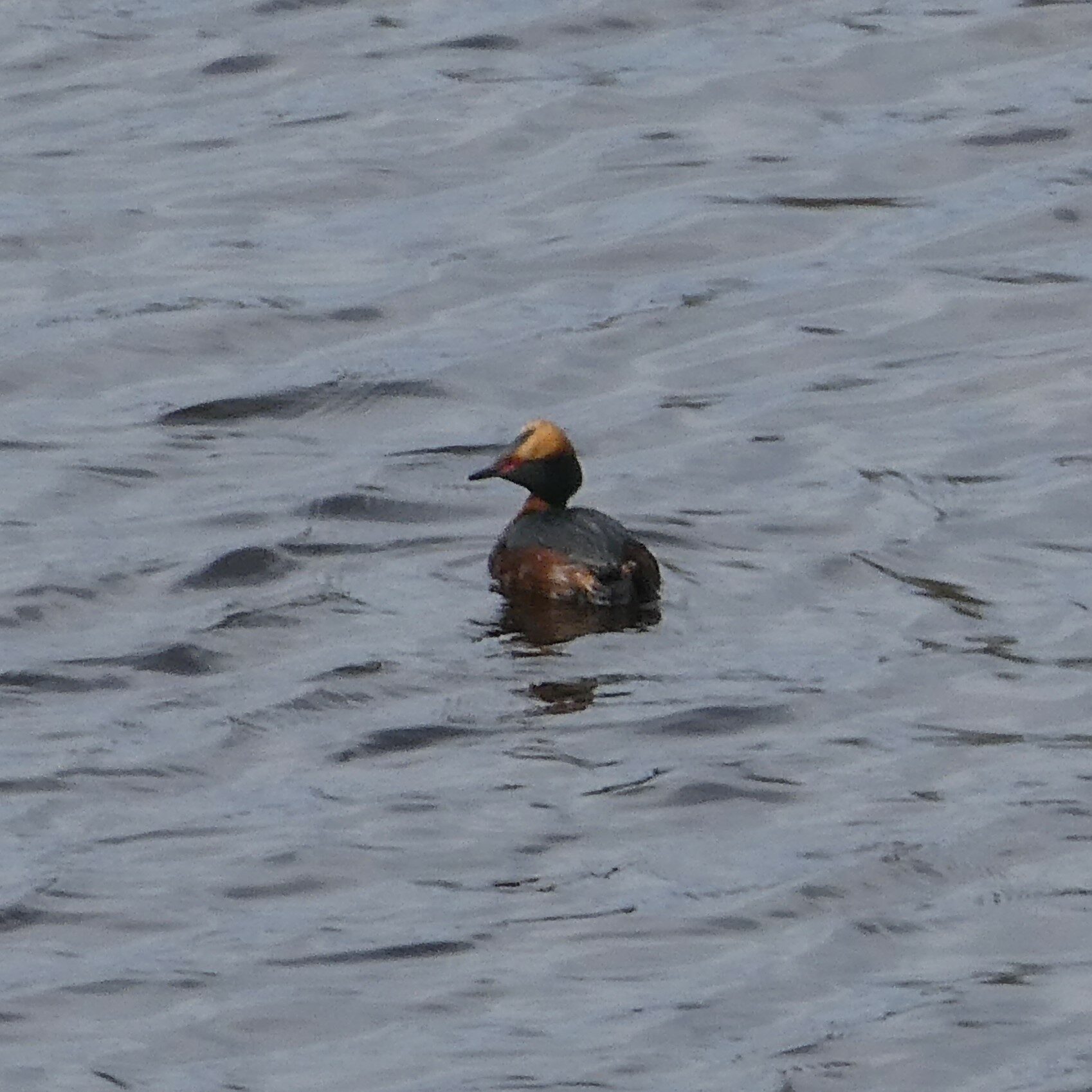 Valokuvaaja: Niina Kauppinen