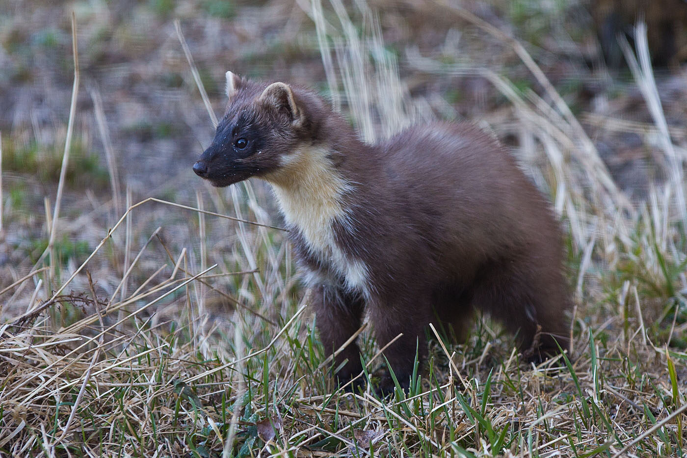 Valokuvaaja: Aarre Leskinen