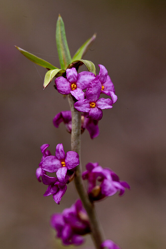 Valokuvaaja: Aarre Leskinen