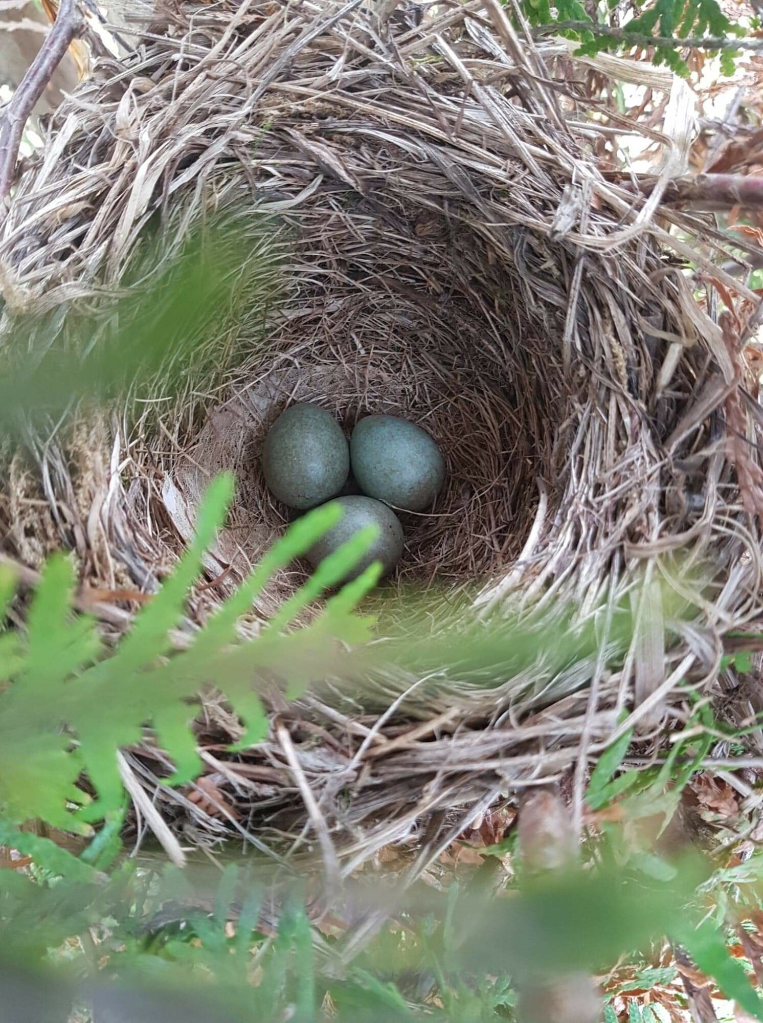 Valokuvaaja: Pirkko Kuusento