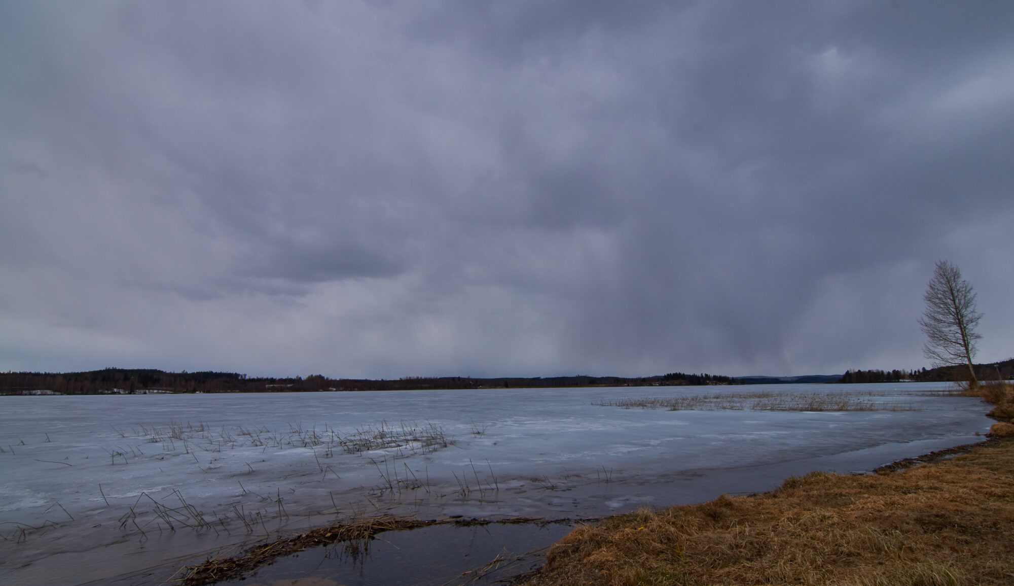 Valokuvaaja: Tarja Kouvo Valokuvaaja: Tarja Kouvo