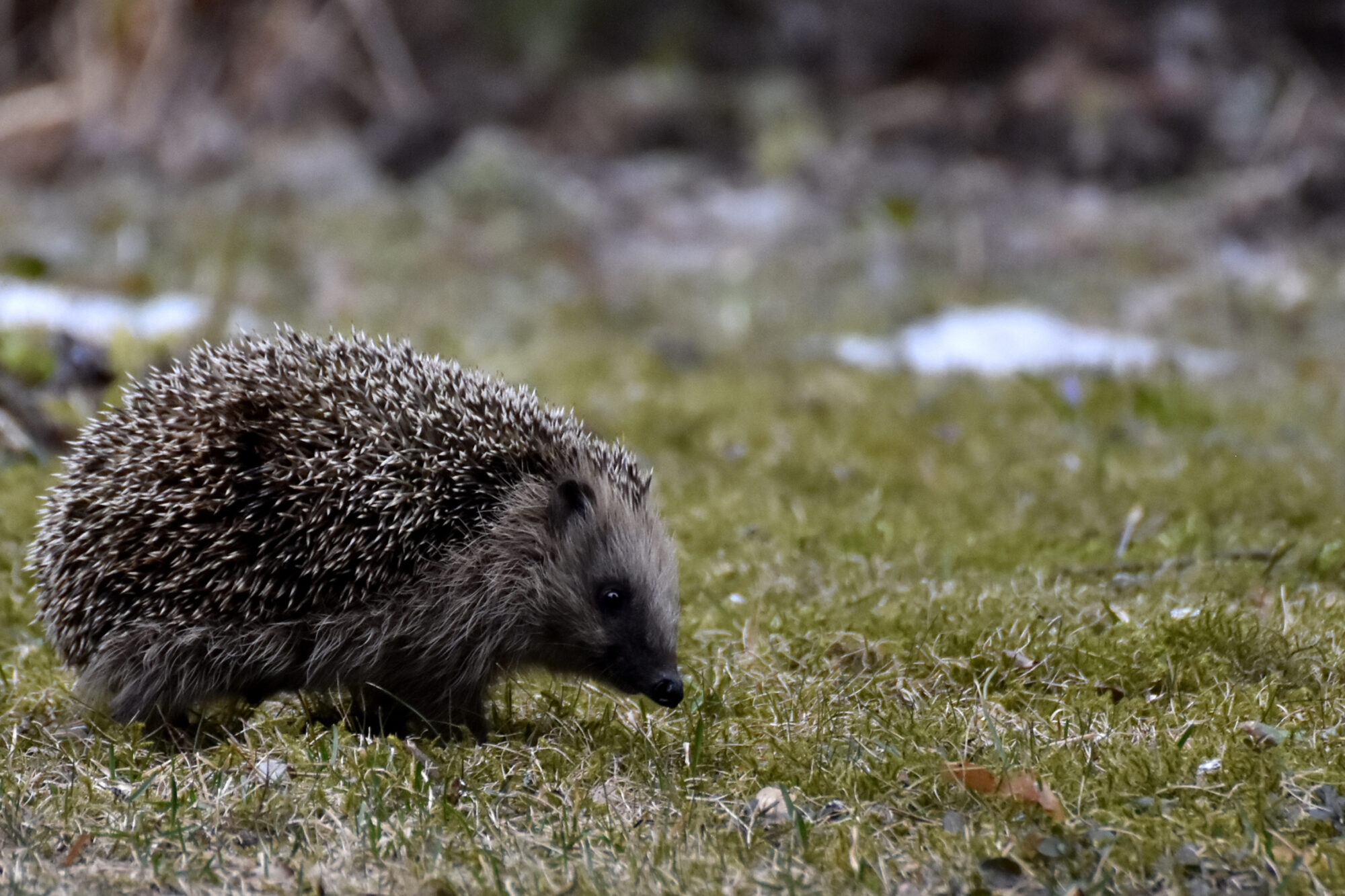 Valokuvaaja: Tarja Riihitupa