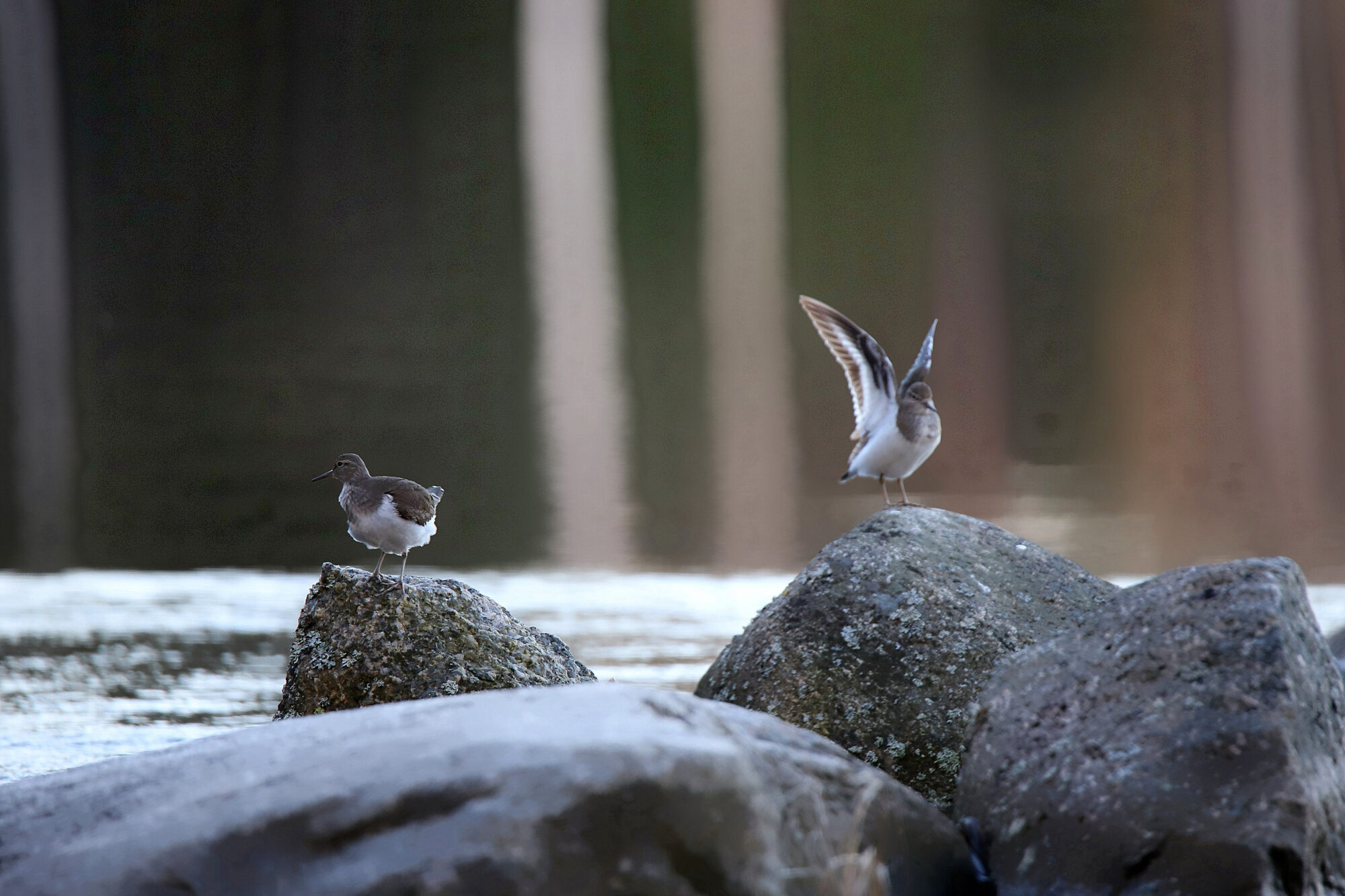 Valokuvaaja: sirpa jyske