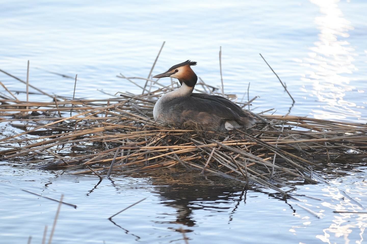 Valokuvaaja: Kati Kilpeläinen