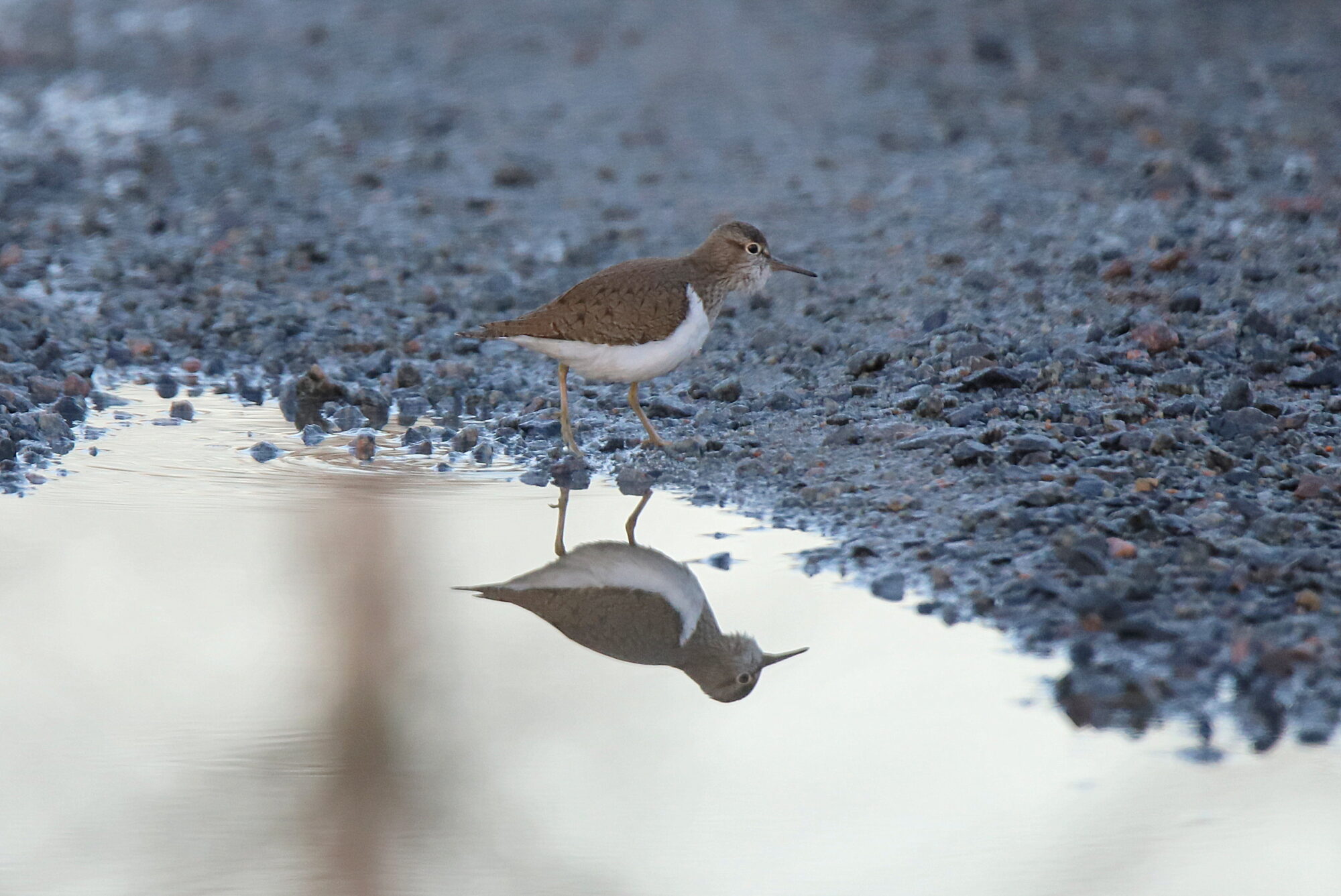 Valokuvaaja: sirpa jyske