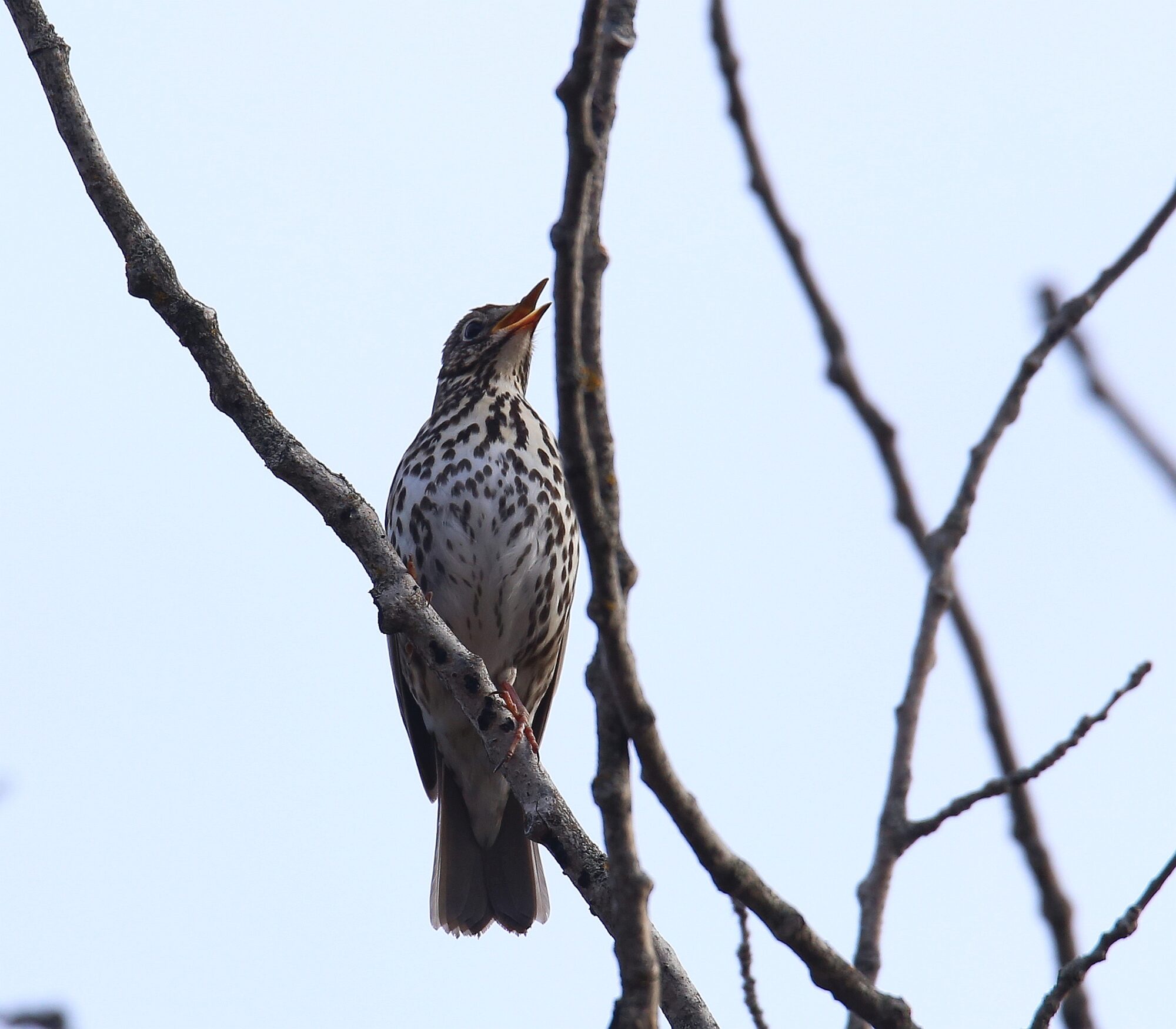 Valokuvaaja: Jaana Saarelainen